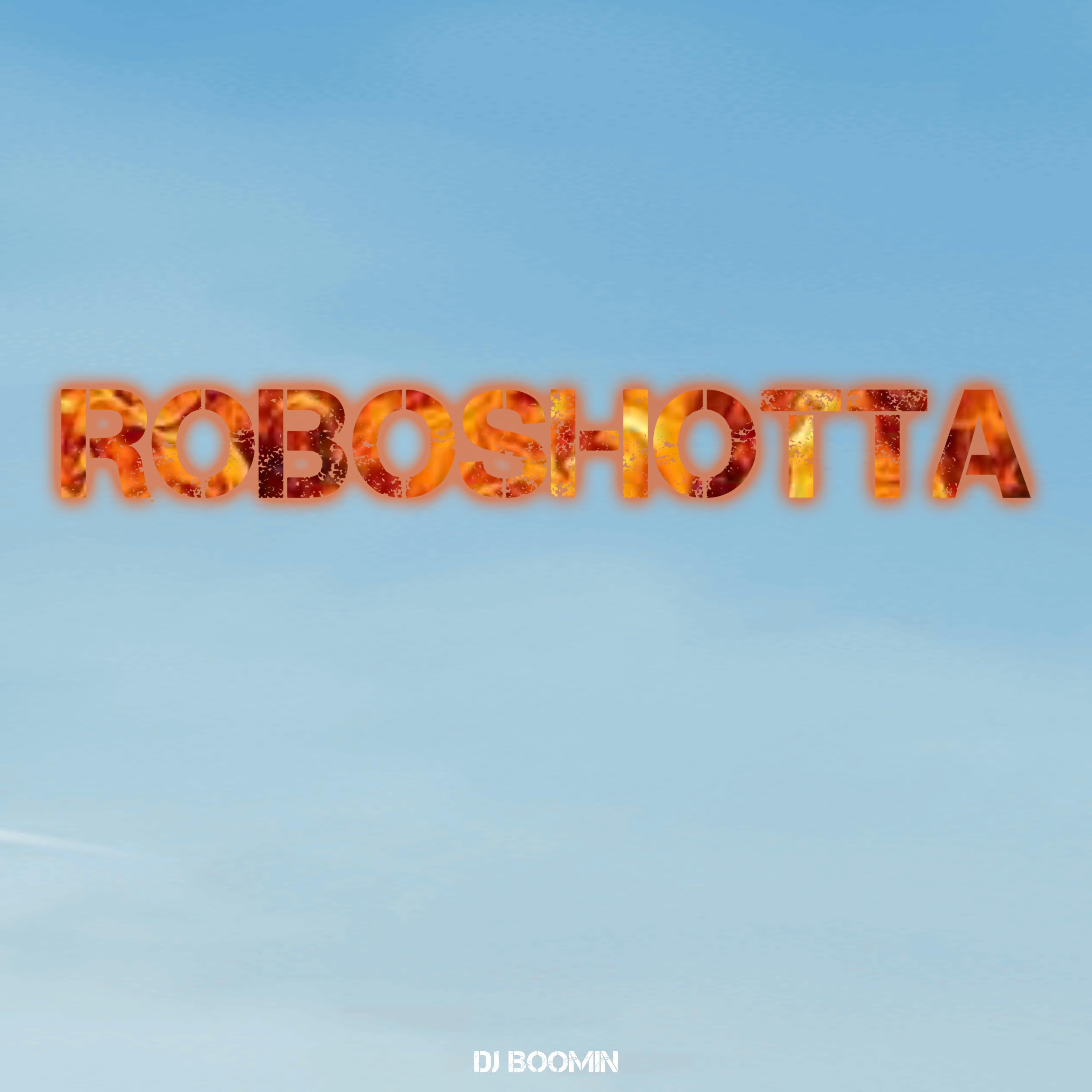 Постер альбома ROBOSHOTTA