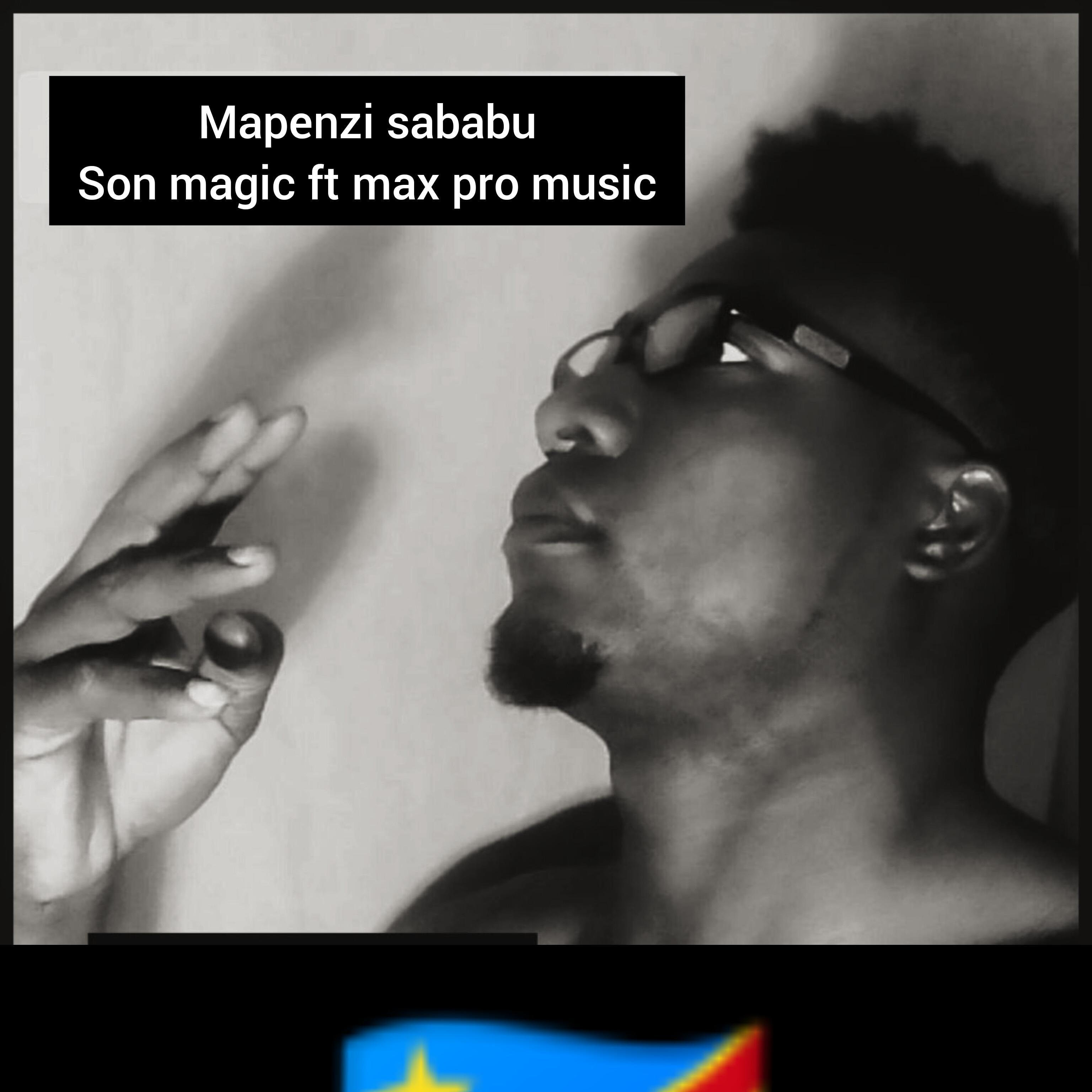 Постер альбома Mapenzi sababu (feat. Max pro music)