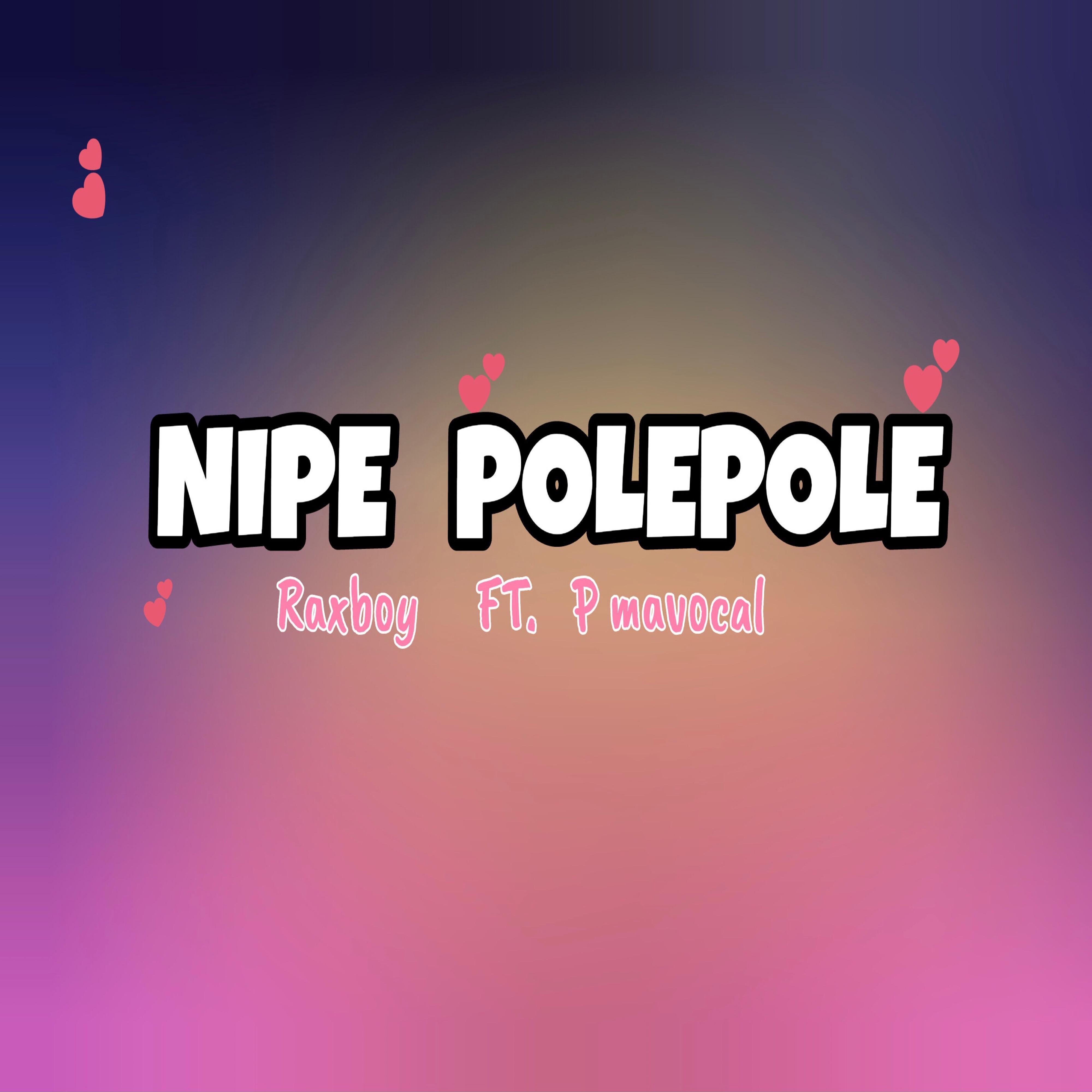Постер альбома Nipe Pole Pole (feat. P mavocal)