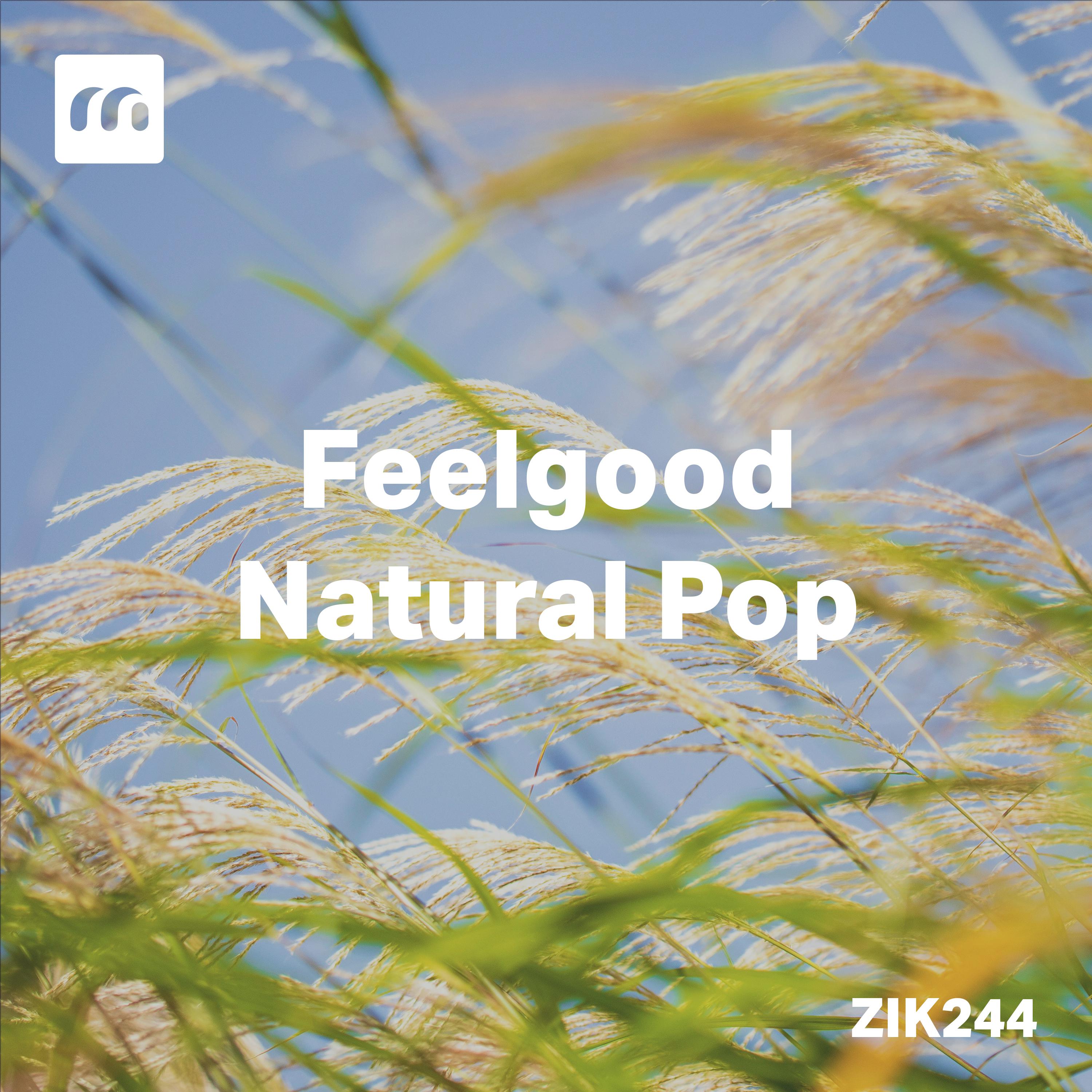 Постер альбома Feelgood Natural Pop