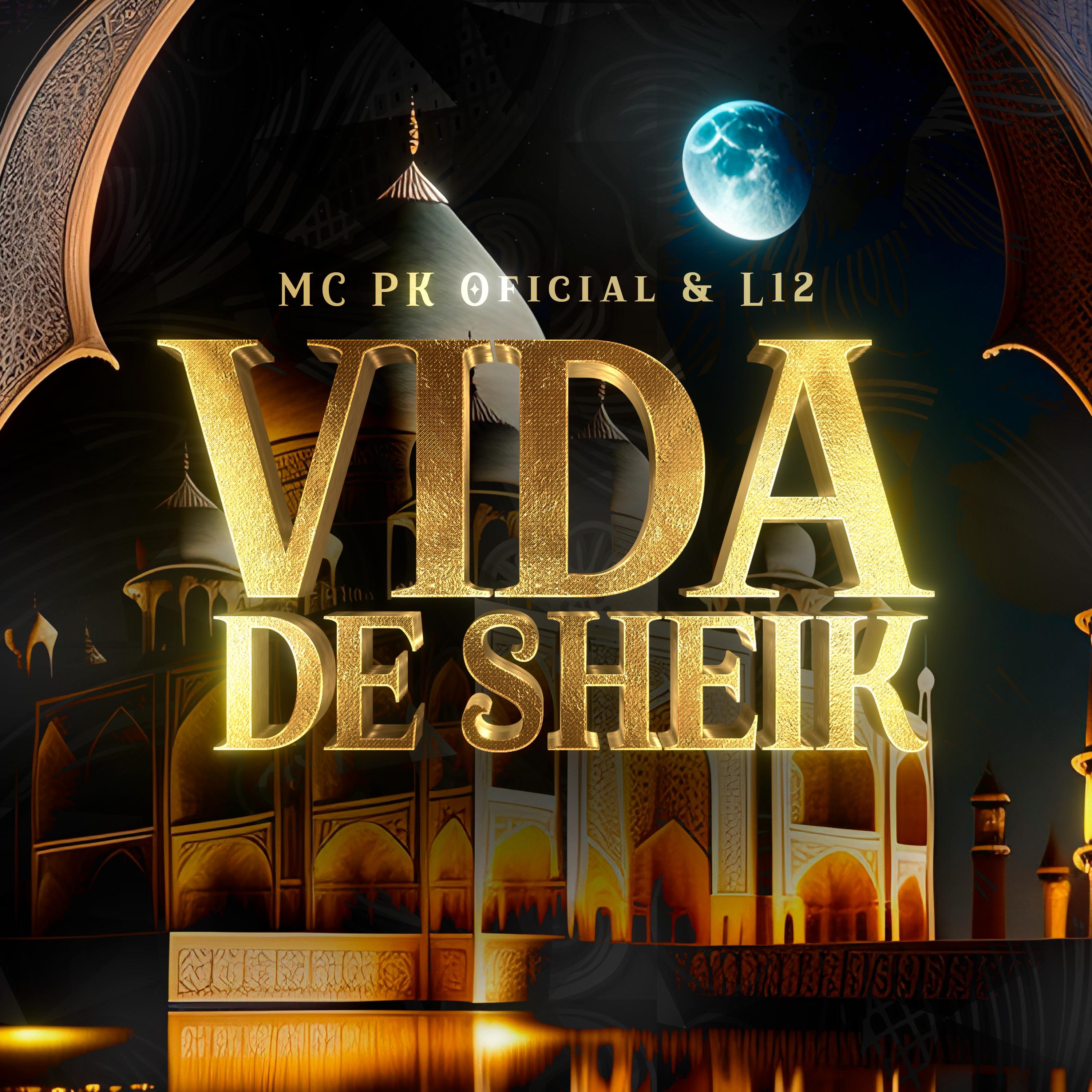 Постер альбома Vida de Sheik