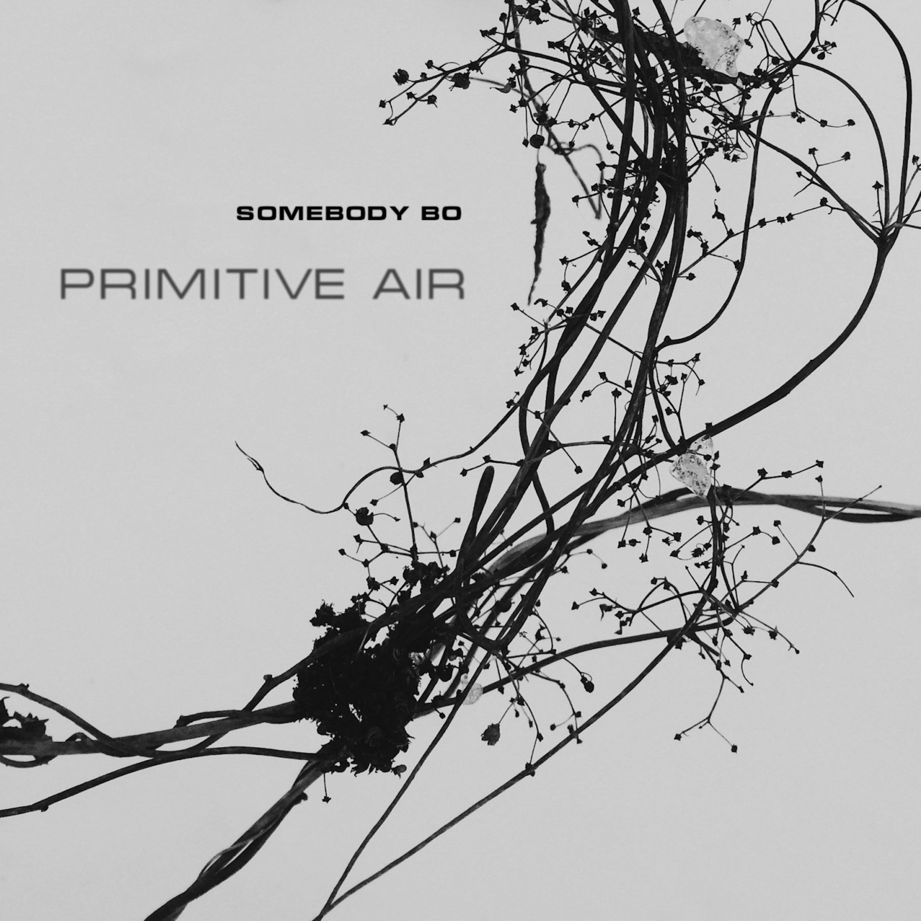Постер альбома Primitive Air
