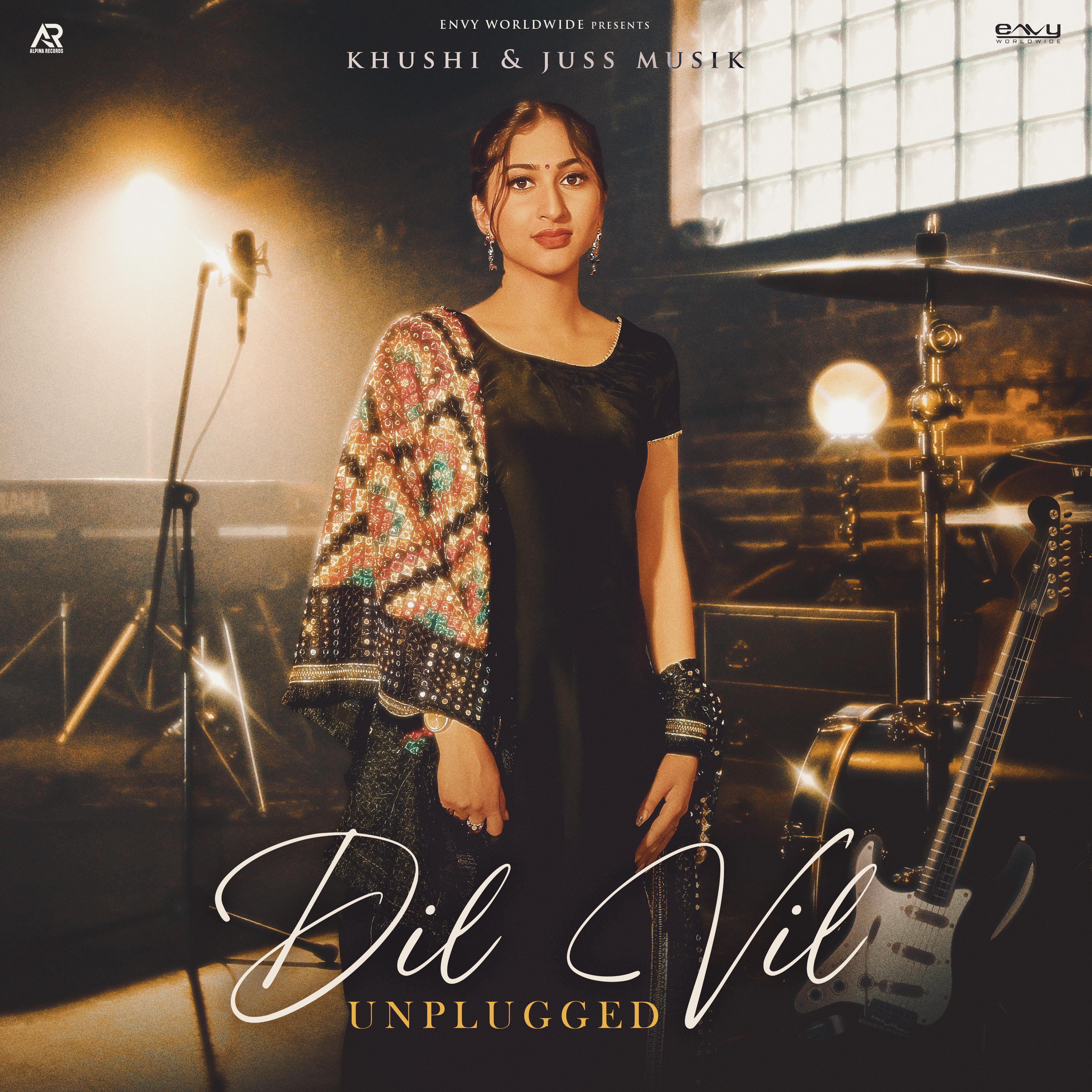 Постер альбома Dil Vil (Unplugged)
