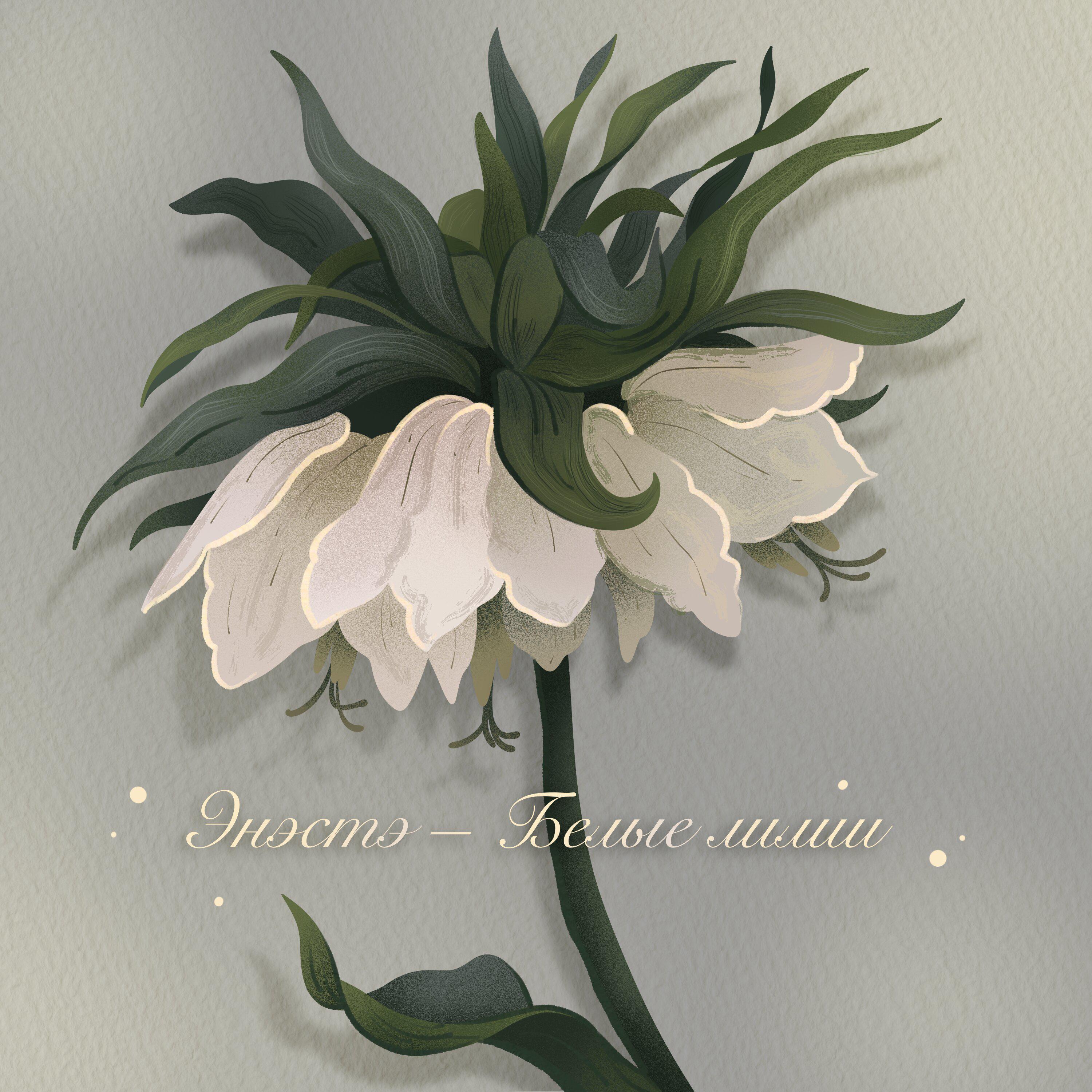 Постер альбома Белые лилии