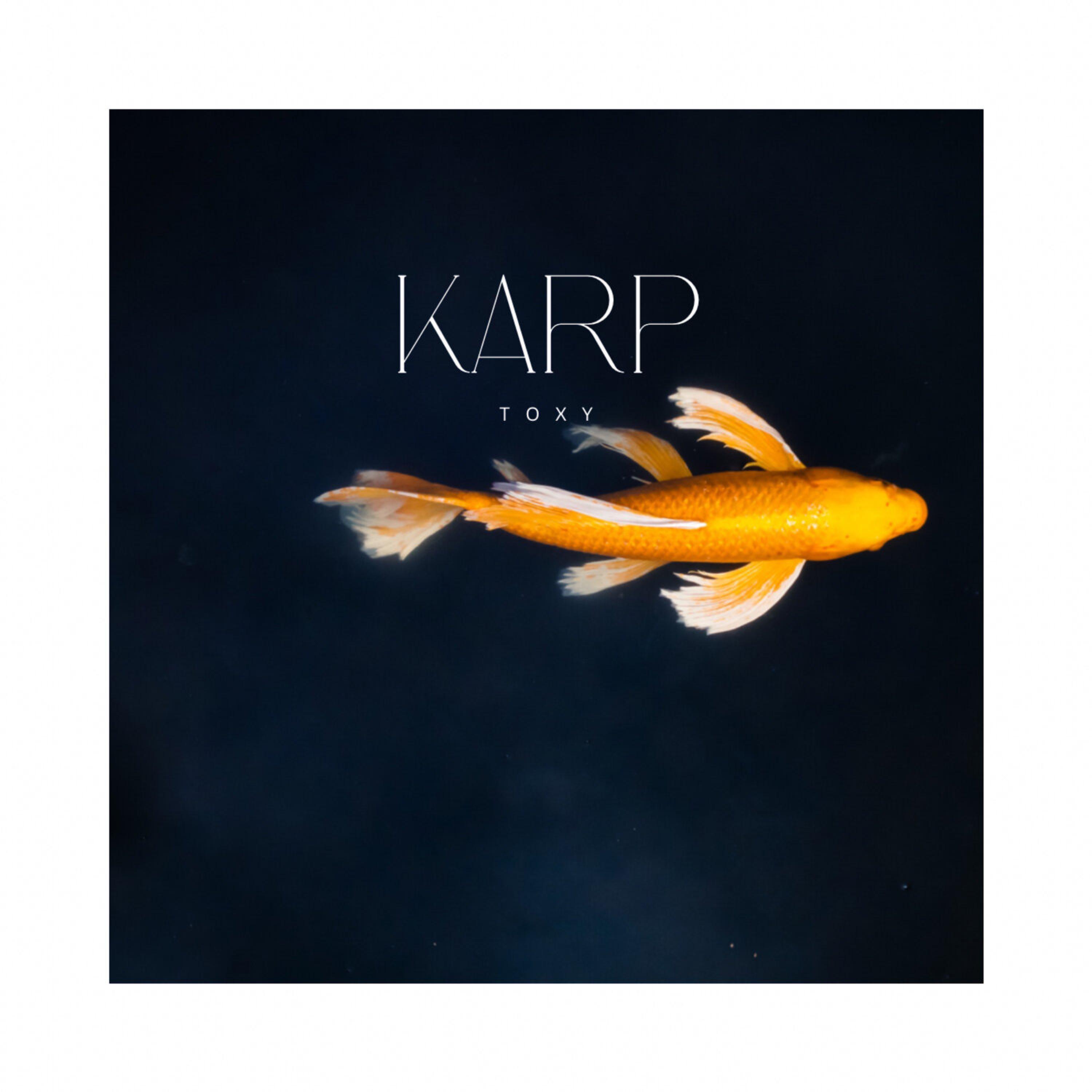 Постер альбома Karp