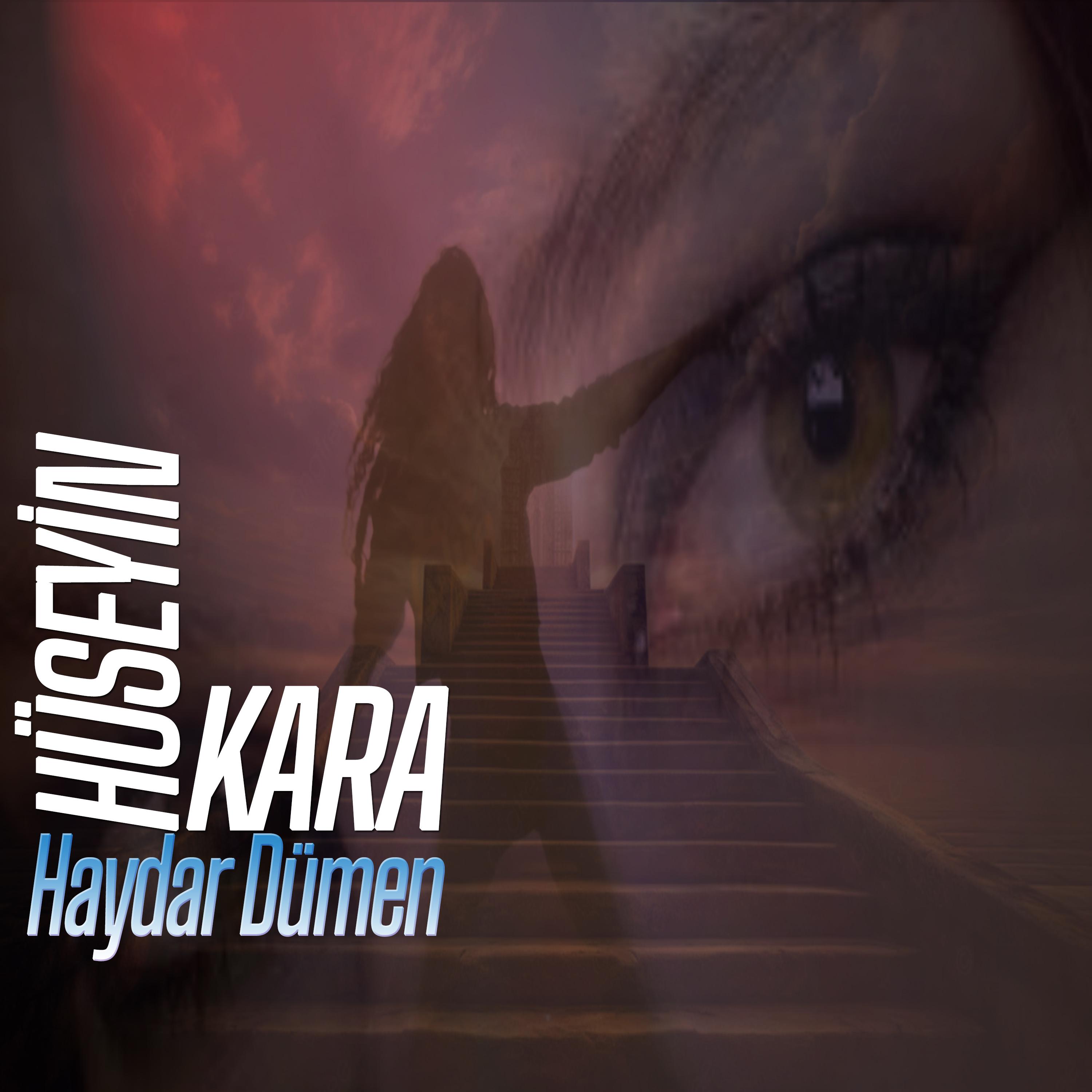 Постер альбома Haydar Dümen