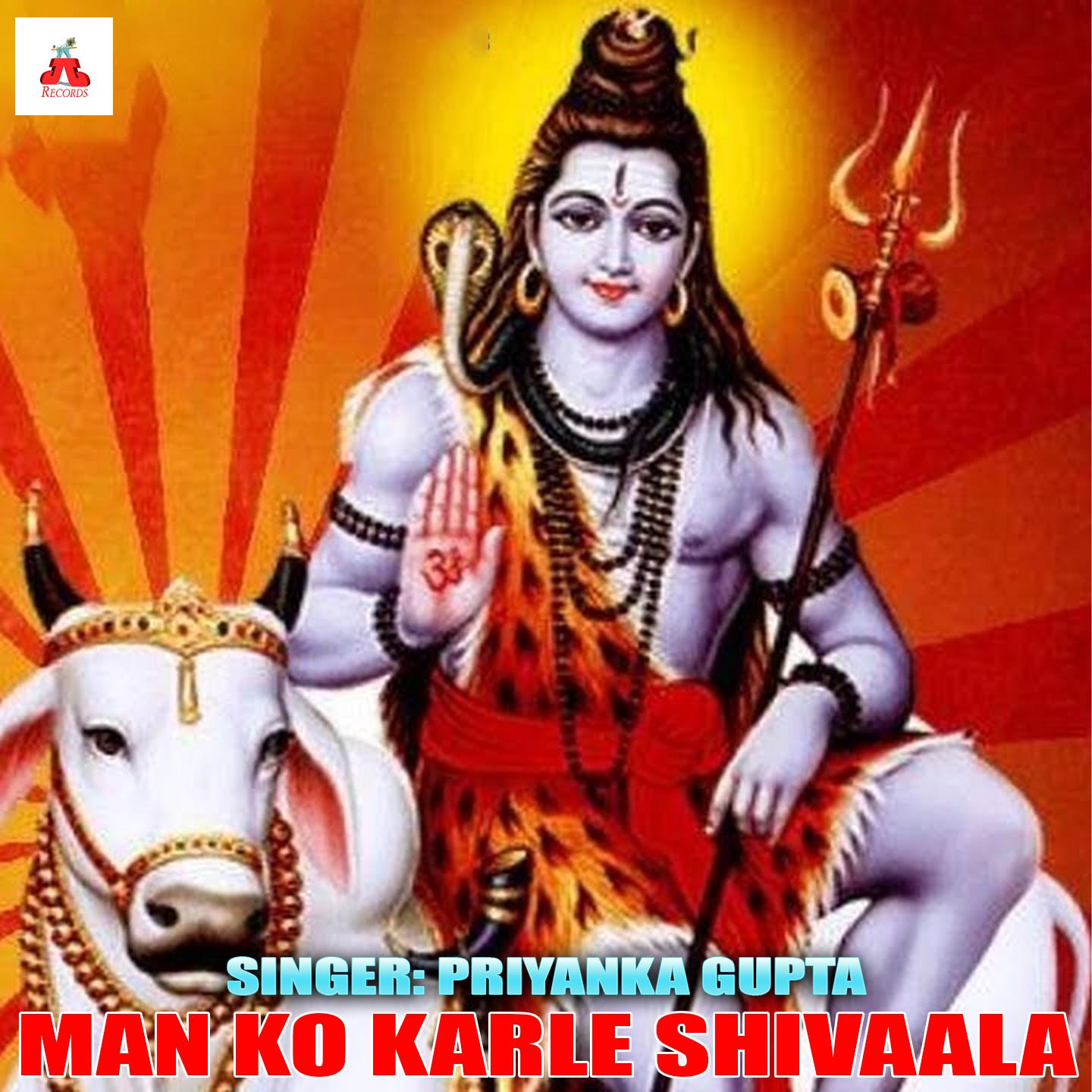 Постер альбома Man Ko Karle Shivaala