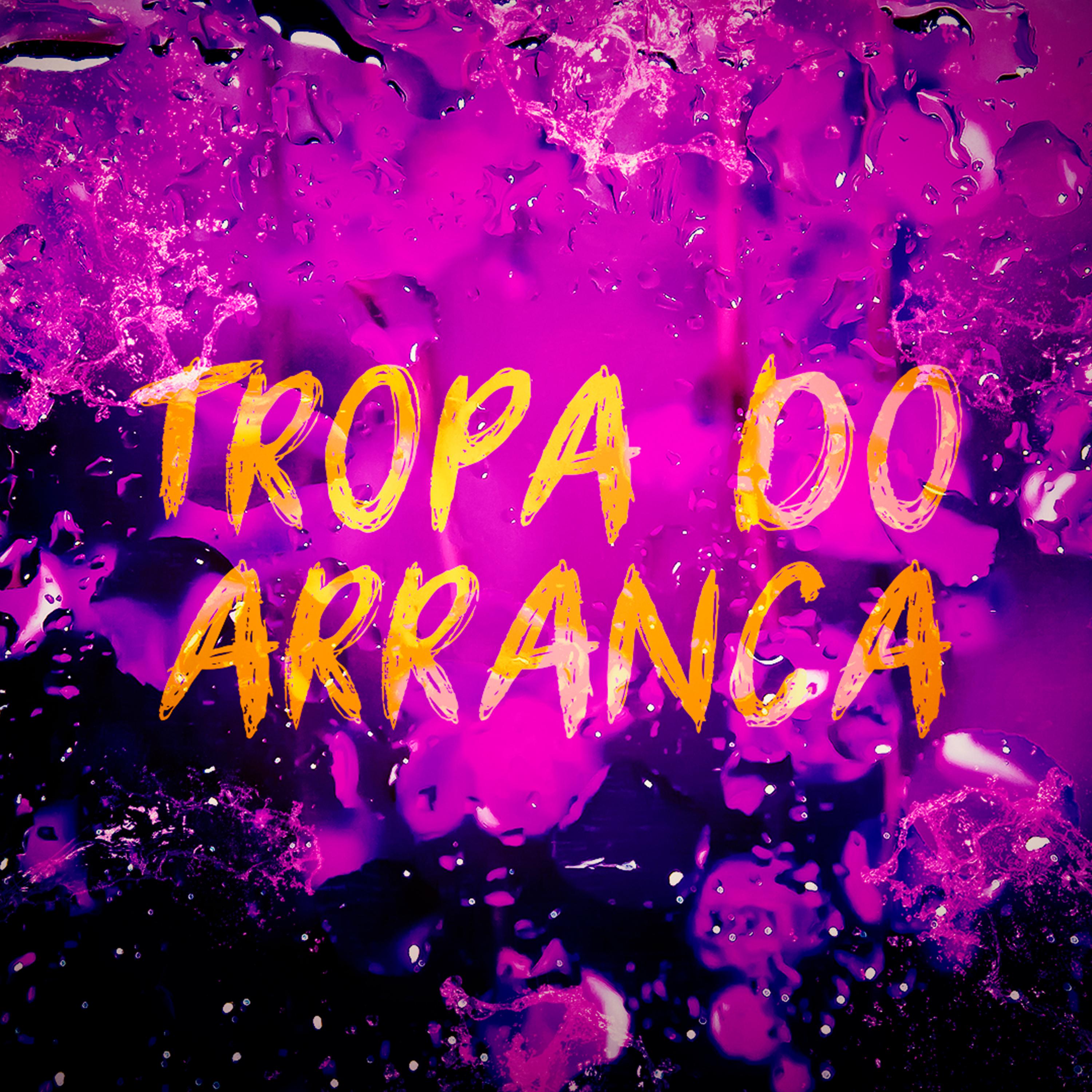 Постер альбома Tropa do Arranca
