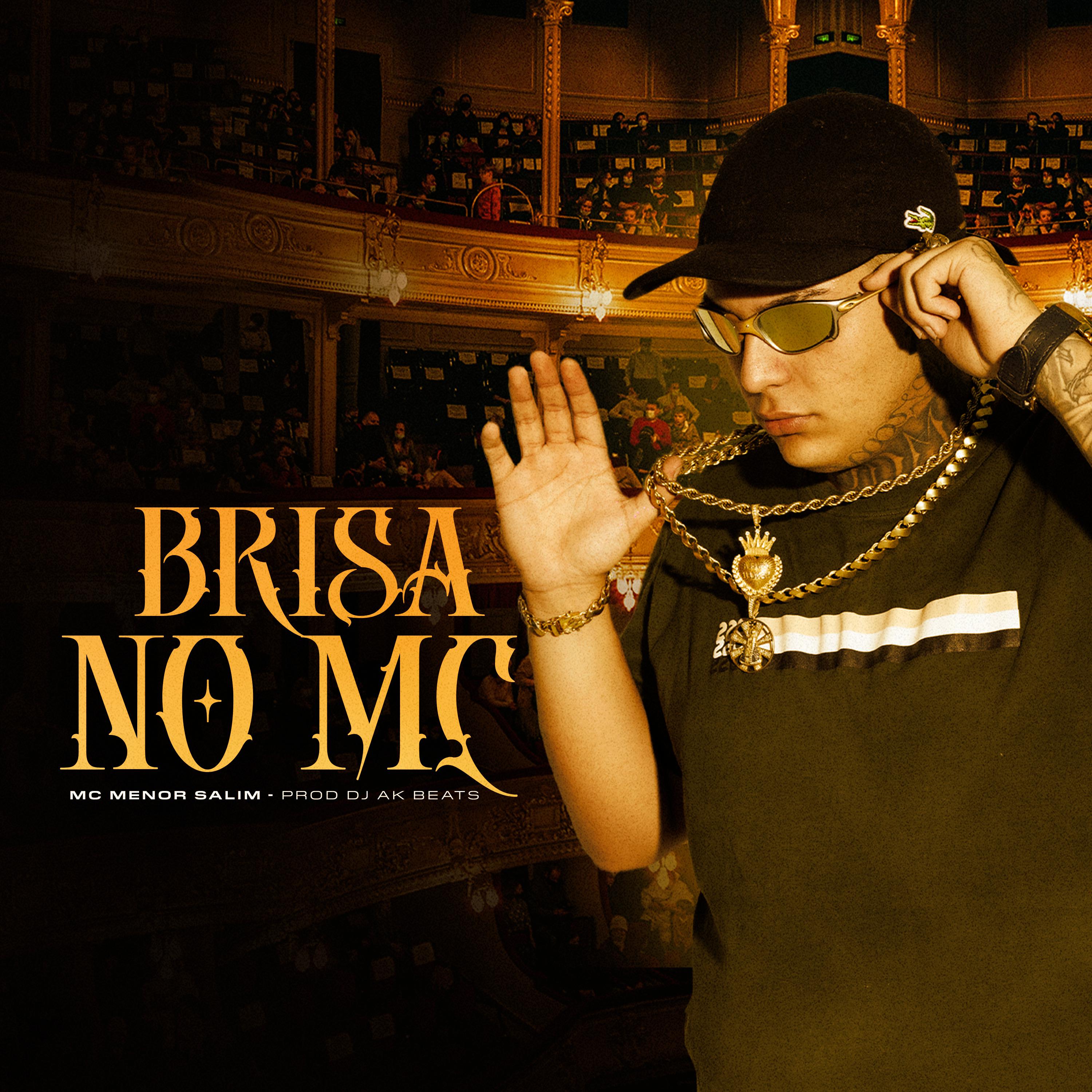 Постер альбома Brisa no Mc