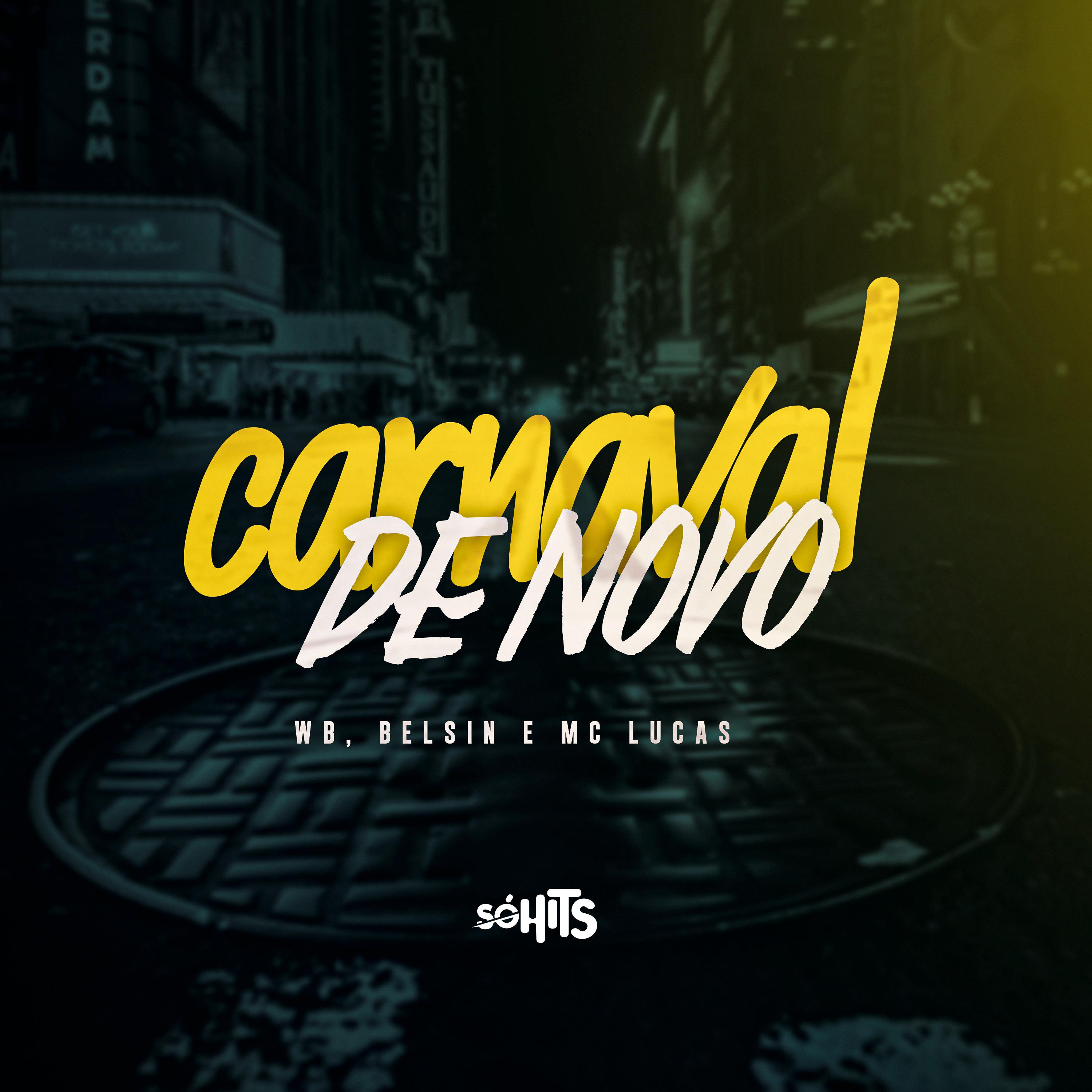 Постер альбома Carnaval de Novo