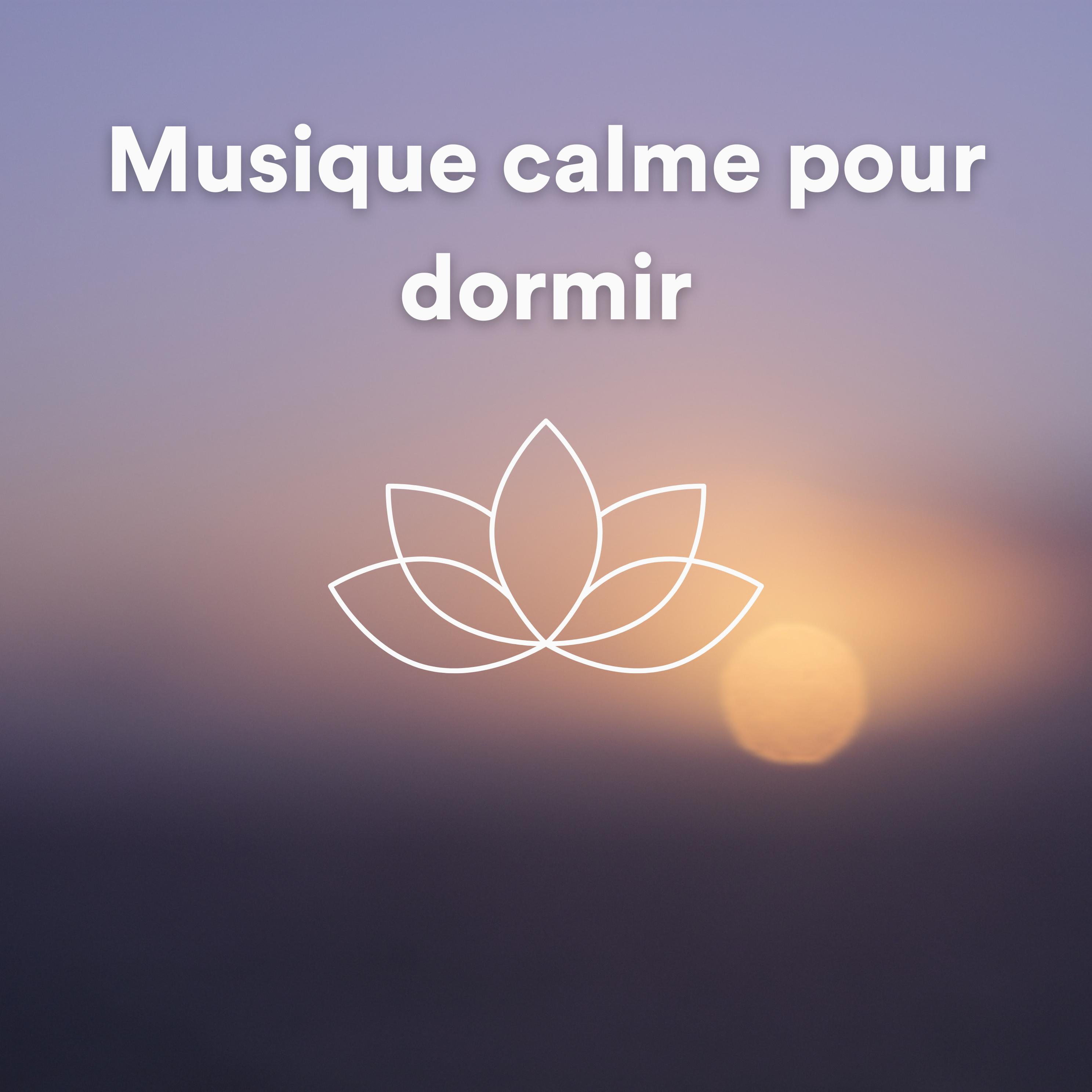Постер альбома Musique calme pour dormir