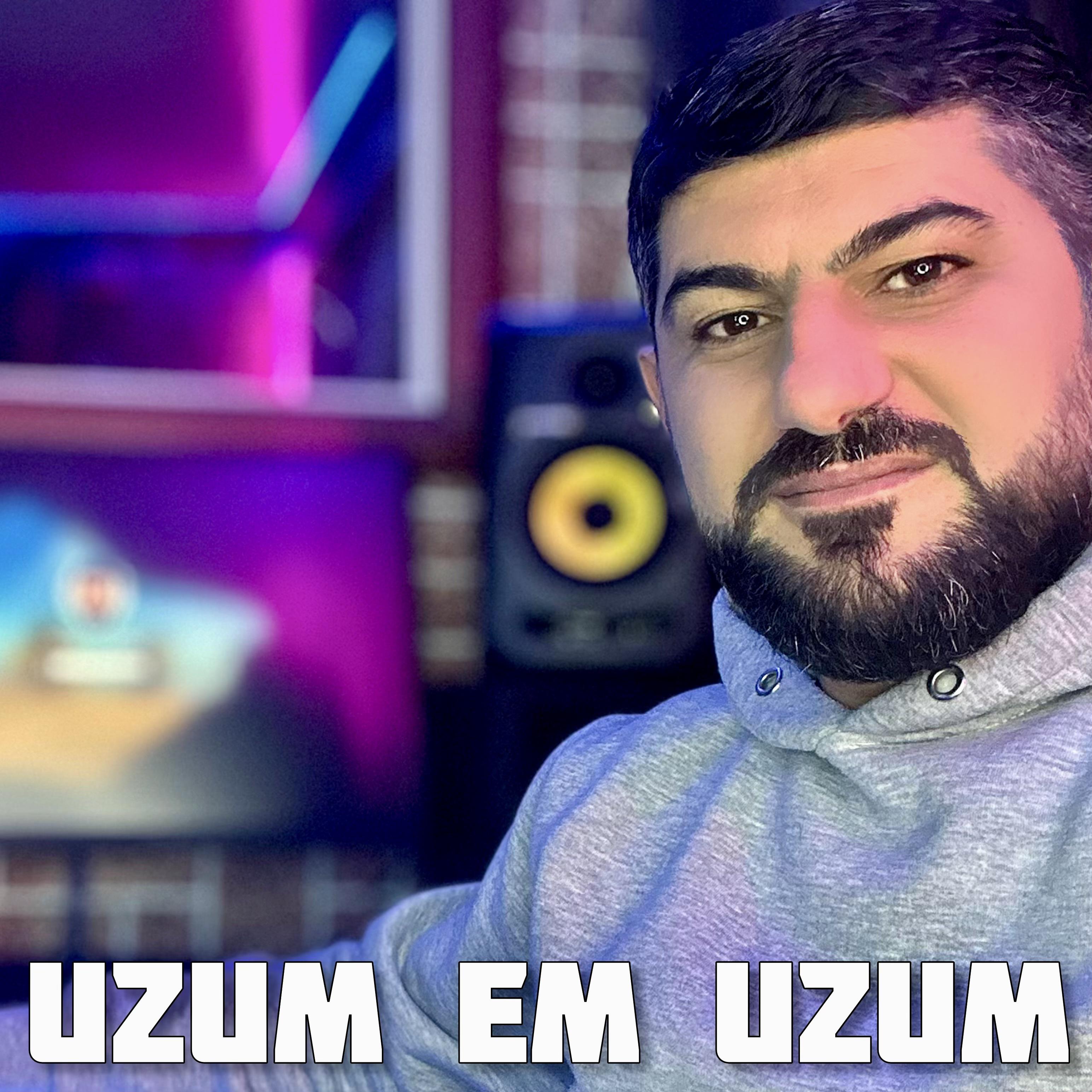 Постер альбома Uzum Em Uzum