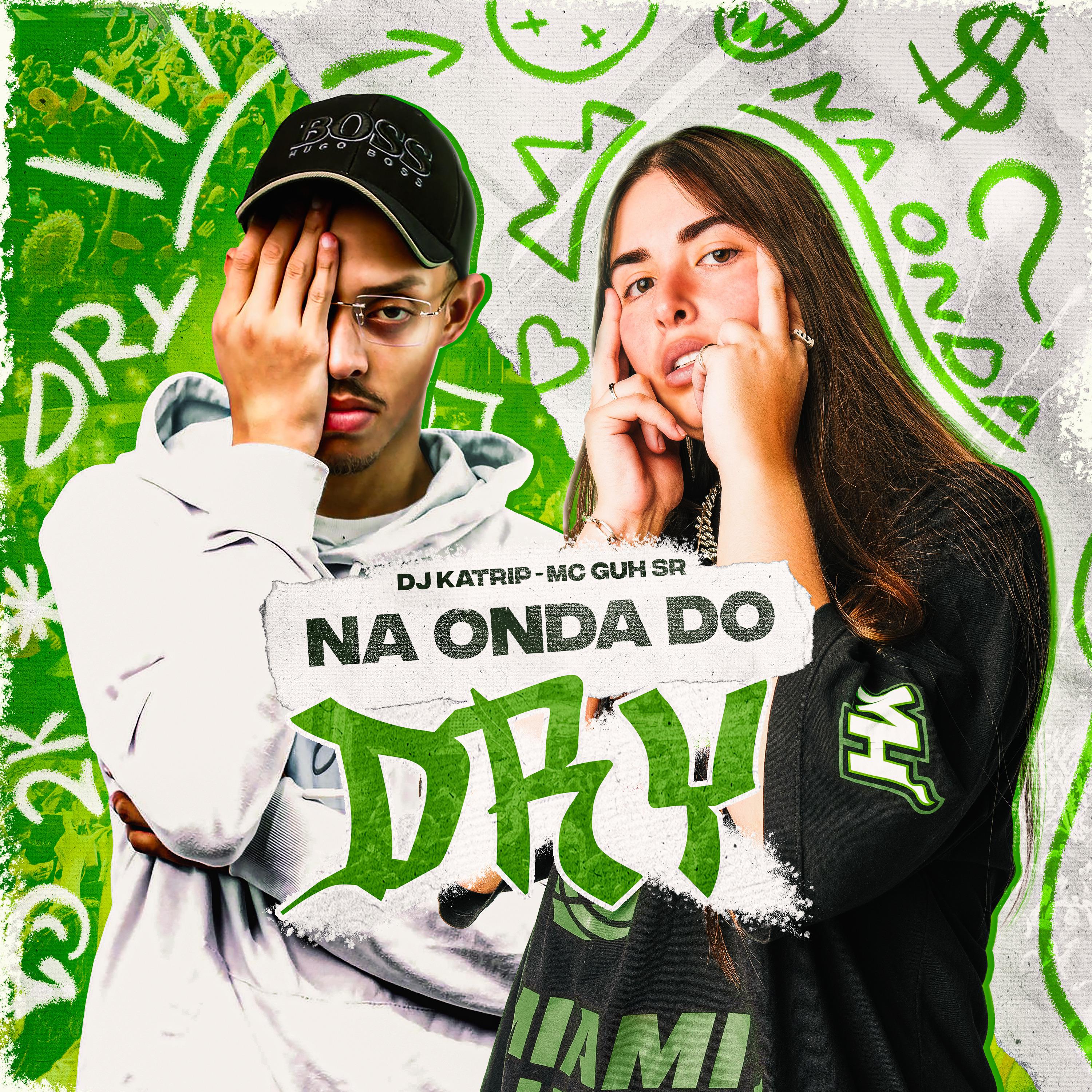 Постер альбома Na Onda do Dry