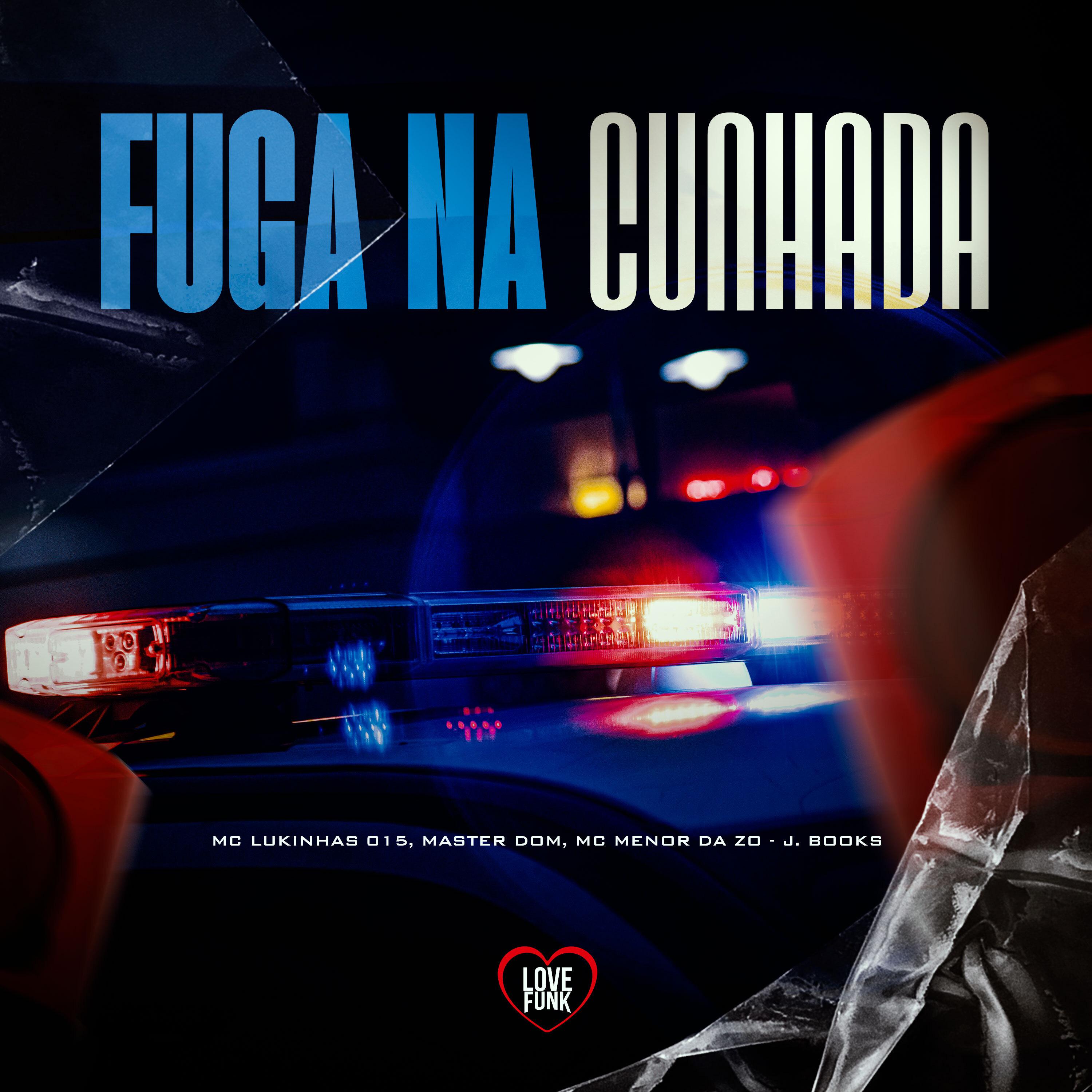 Постер альбома Fuga na Cunhada