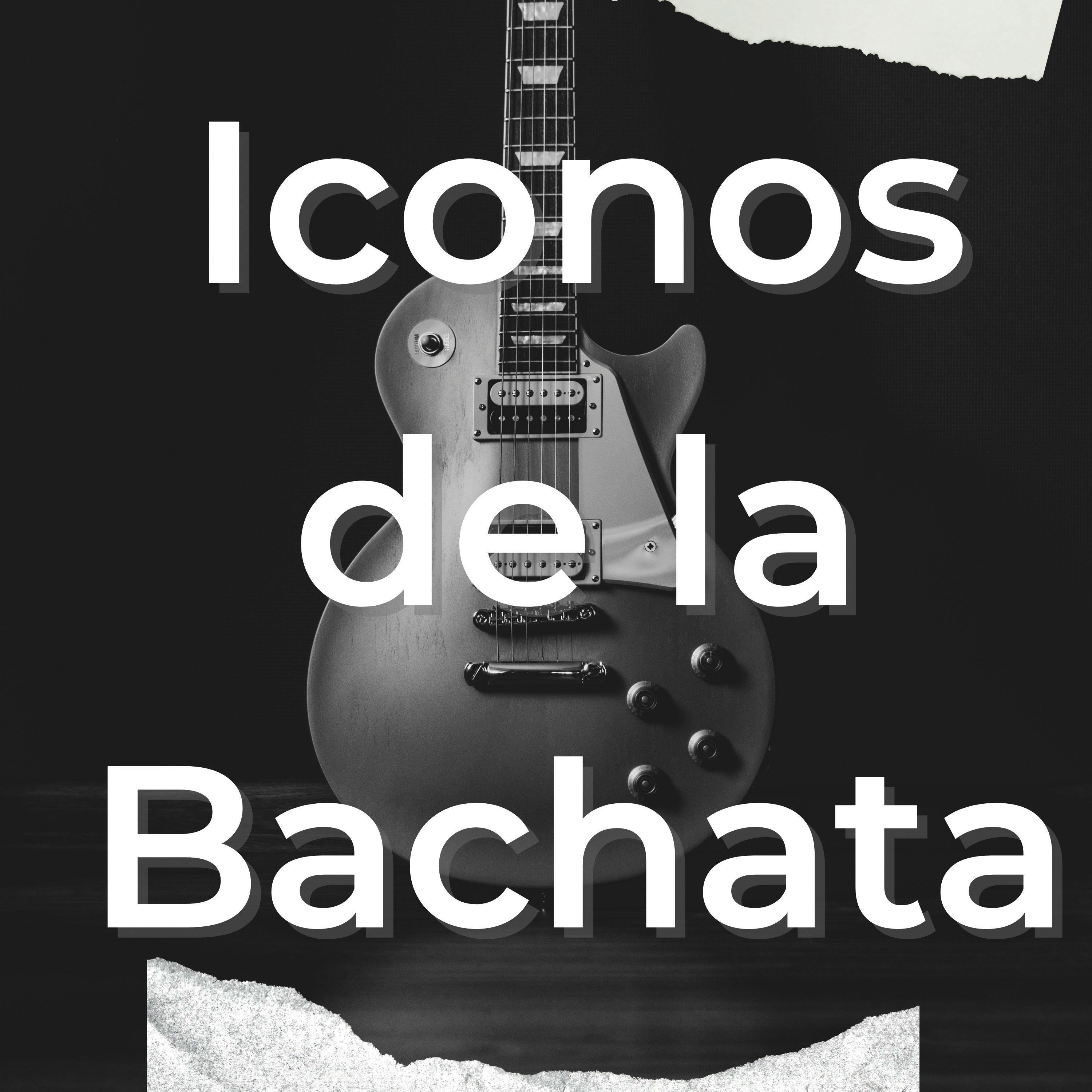 Постер альбома Iconos de la Bachata