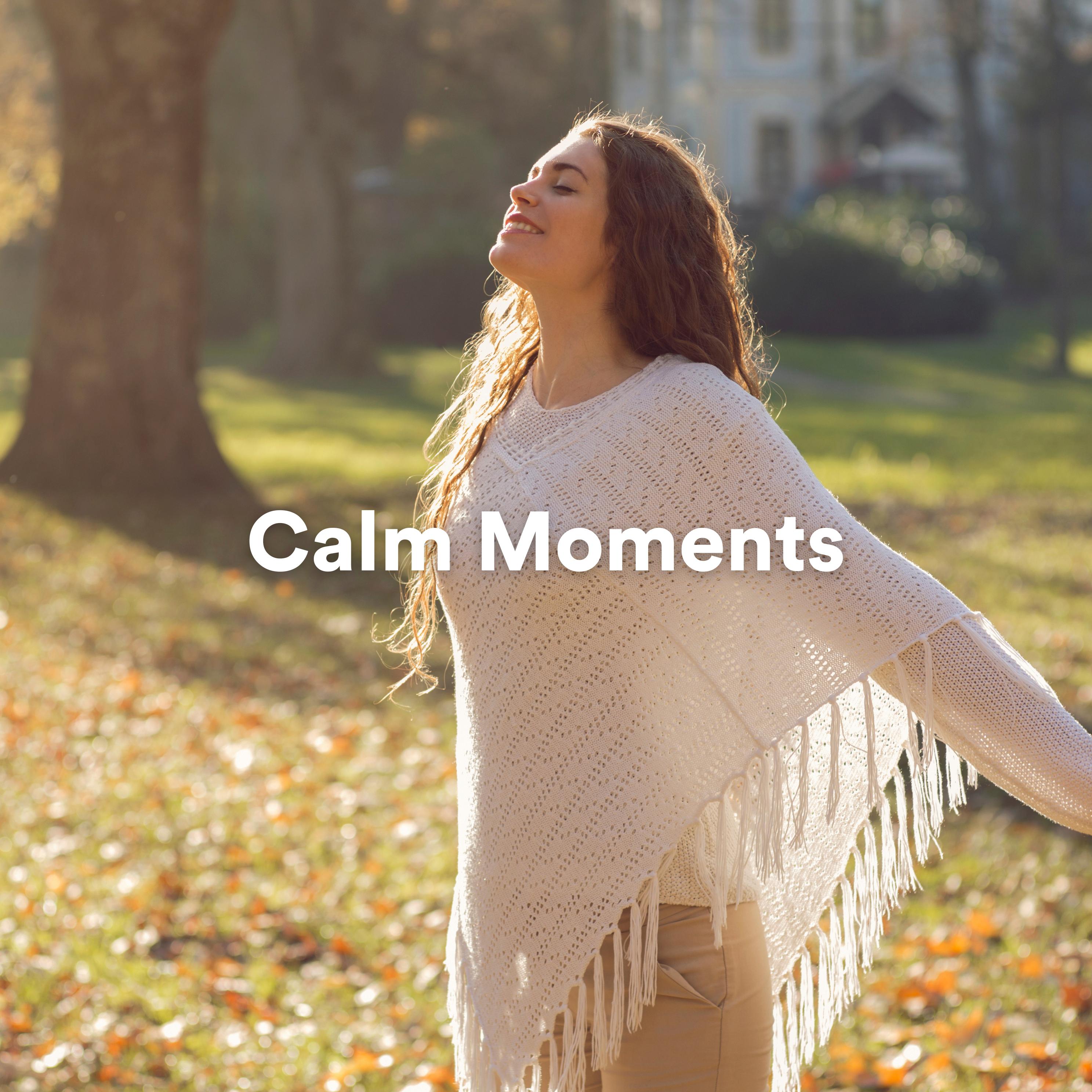 Постер альбома Calm Moments