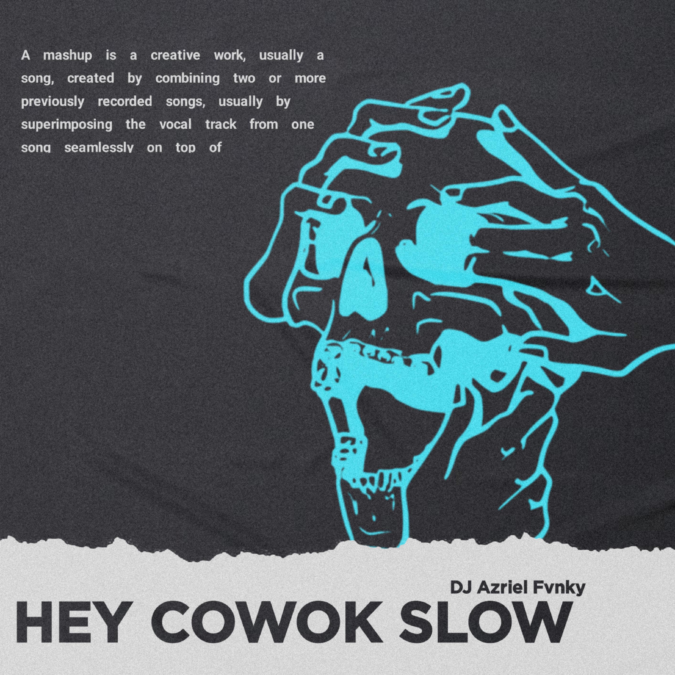 Постер альбома DJ Hey Cowok Slow