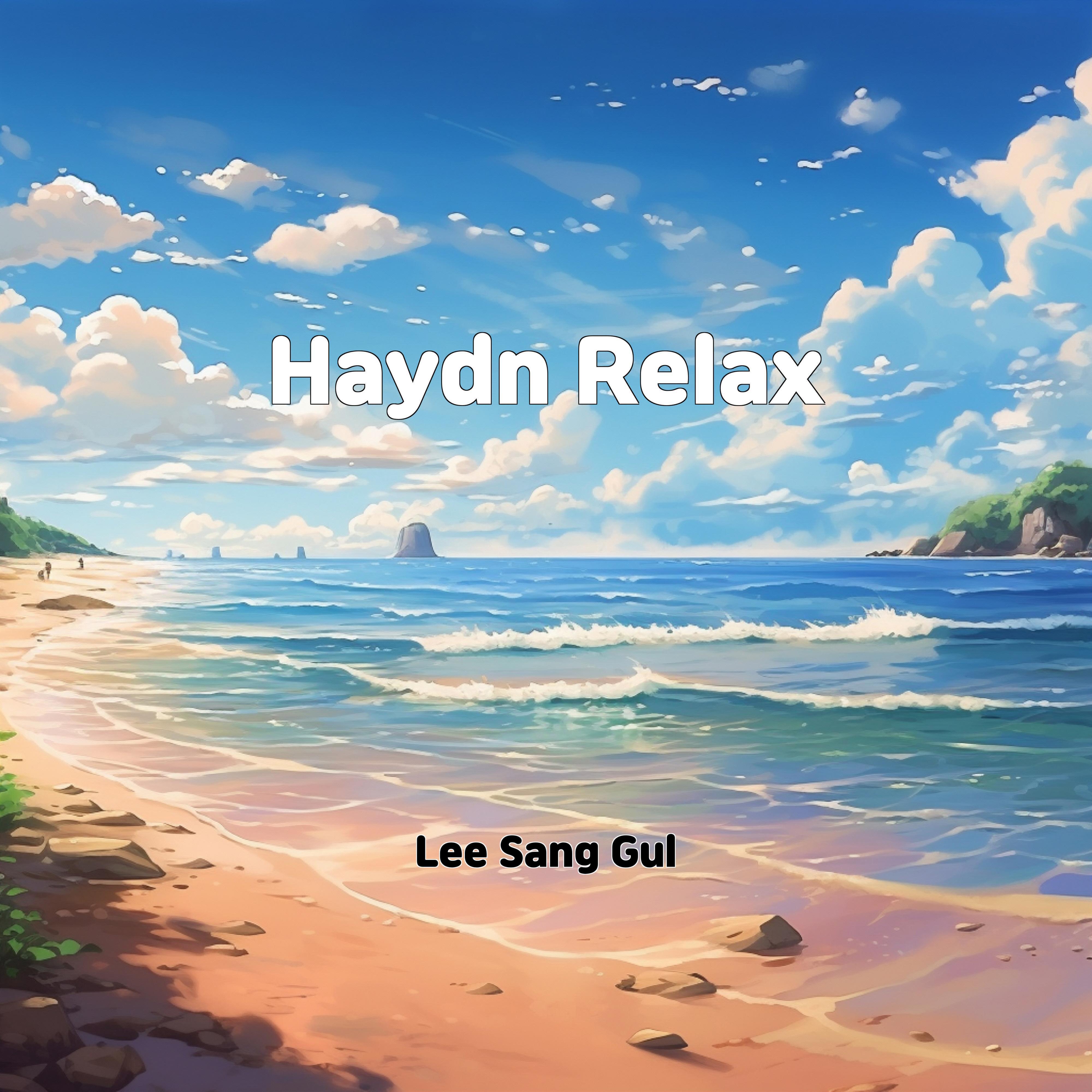 Постер альбома Haydn Relax