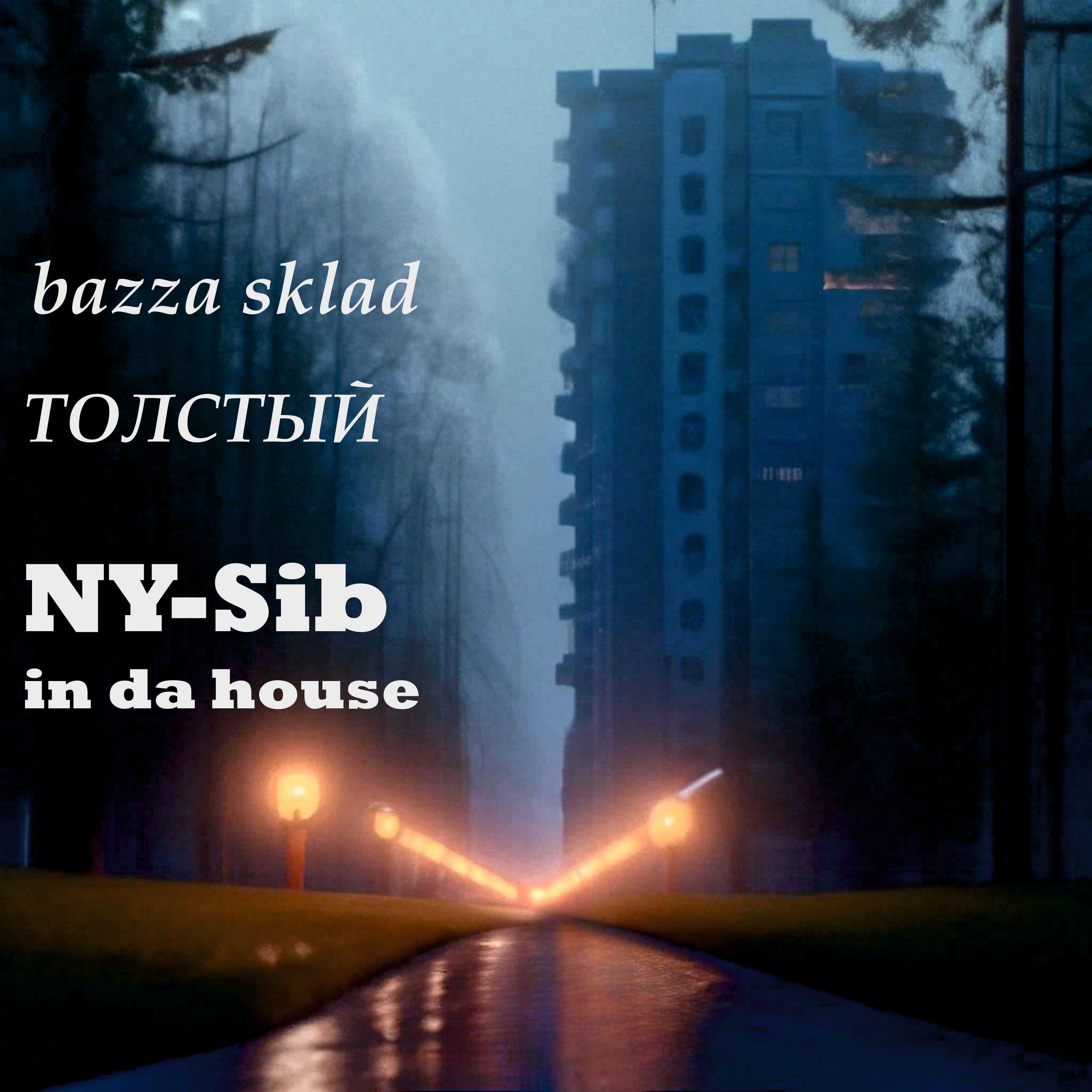 Постер альбома NY sib in da house