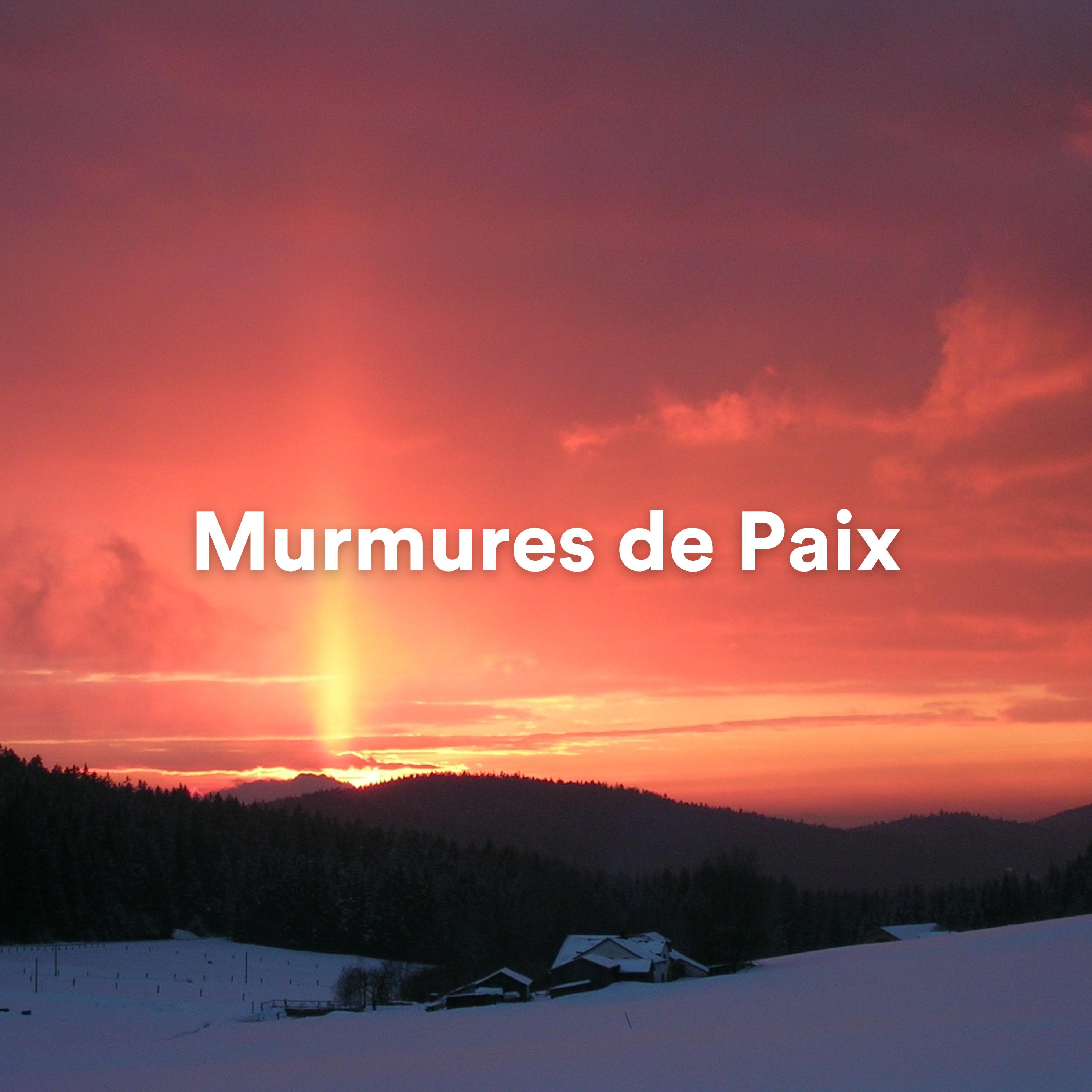 Постер альбома Murmures de Paix