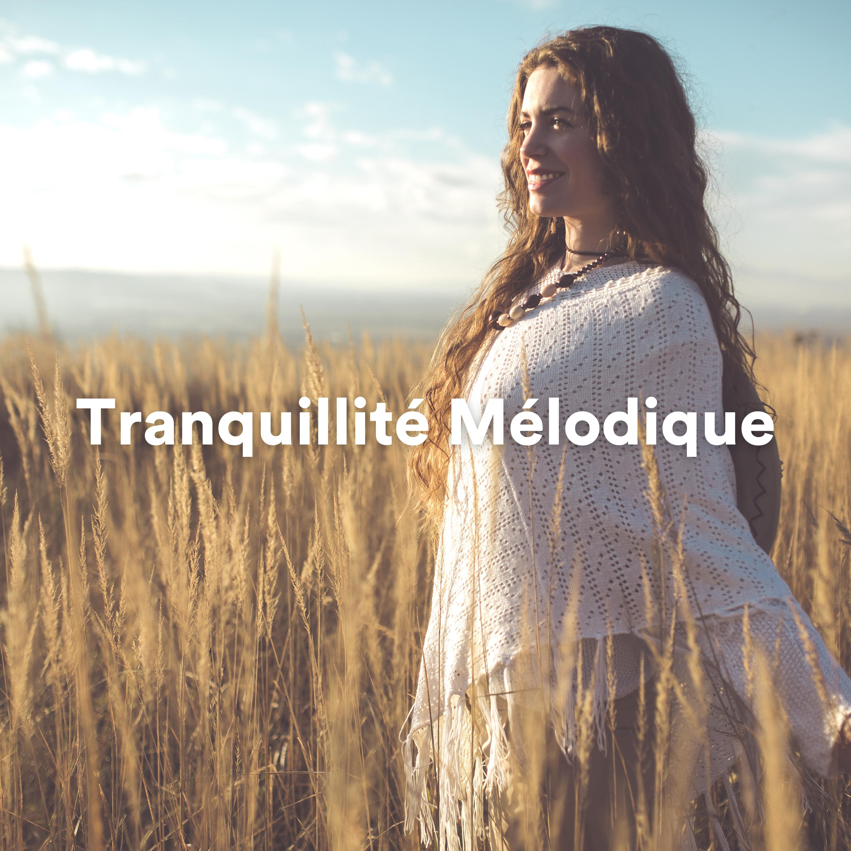 Постер альбома Tranquillité Mélodique