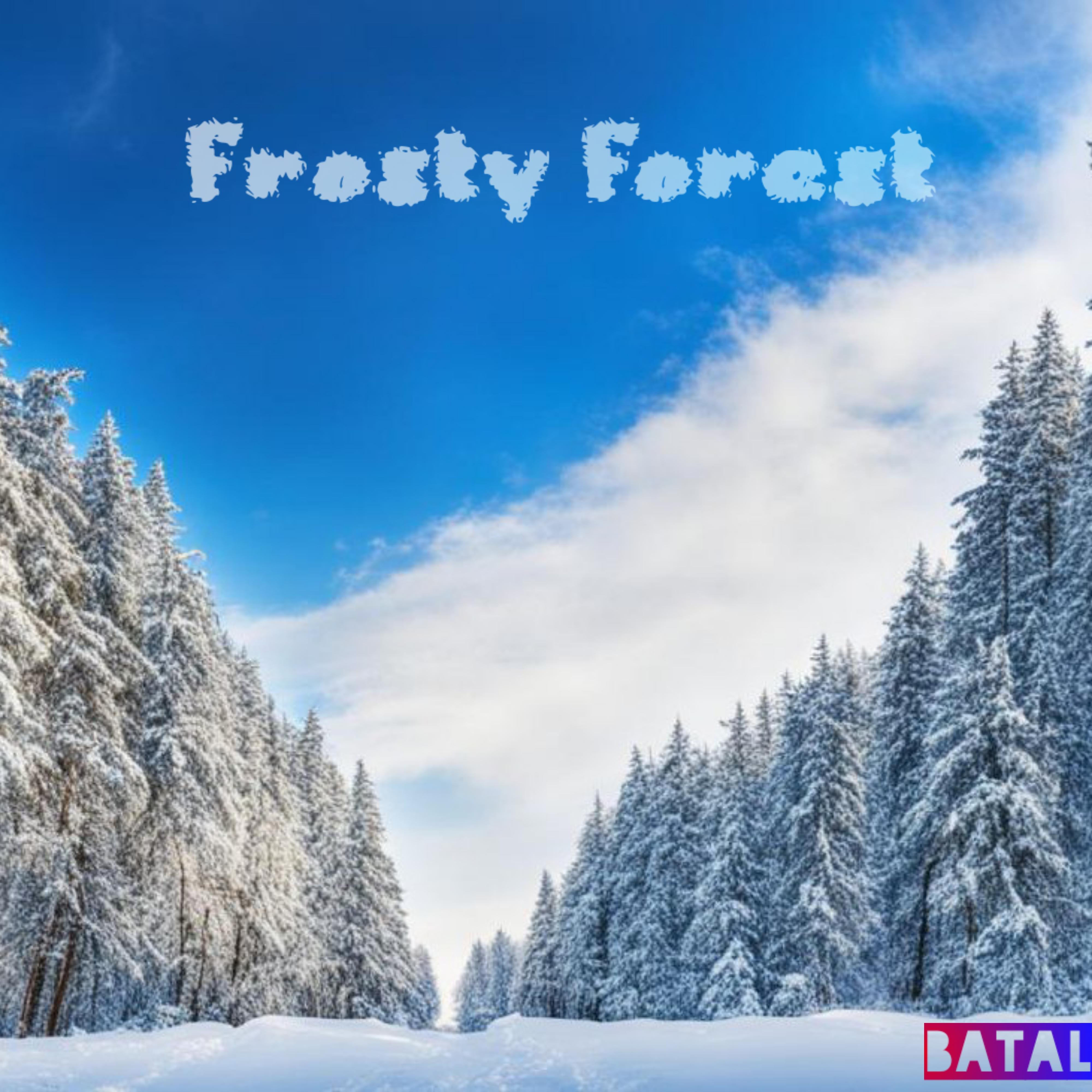 Постер альбома Frosty Forest