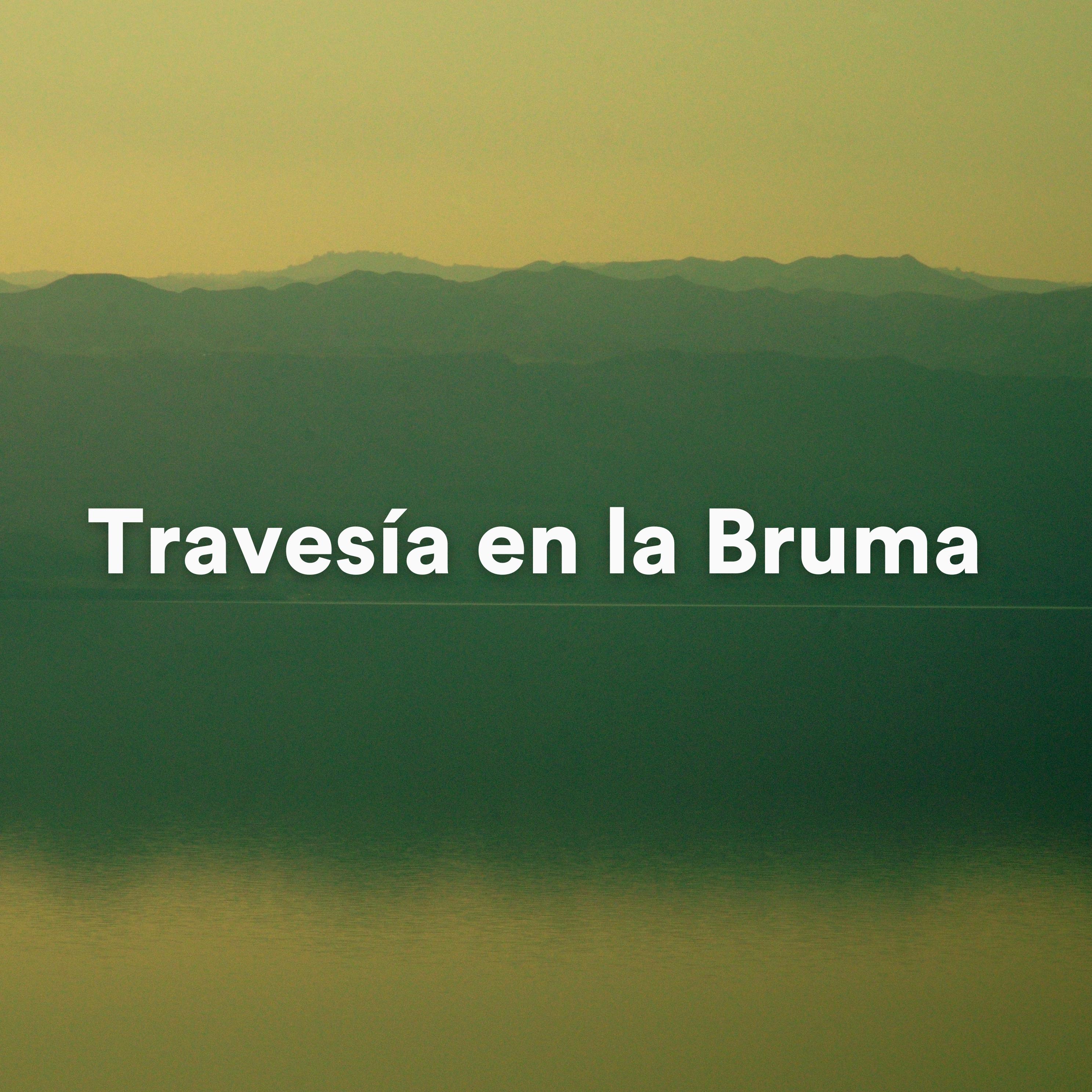 Постер альбома Travesía en la Bruma