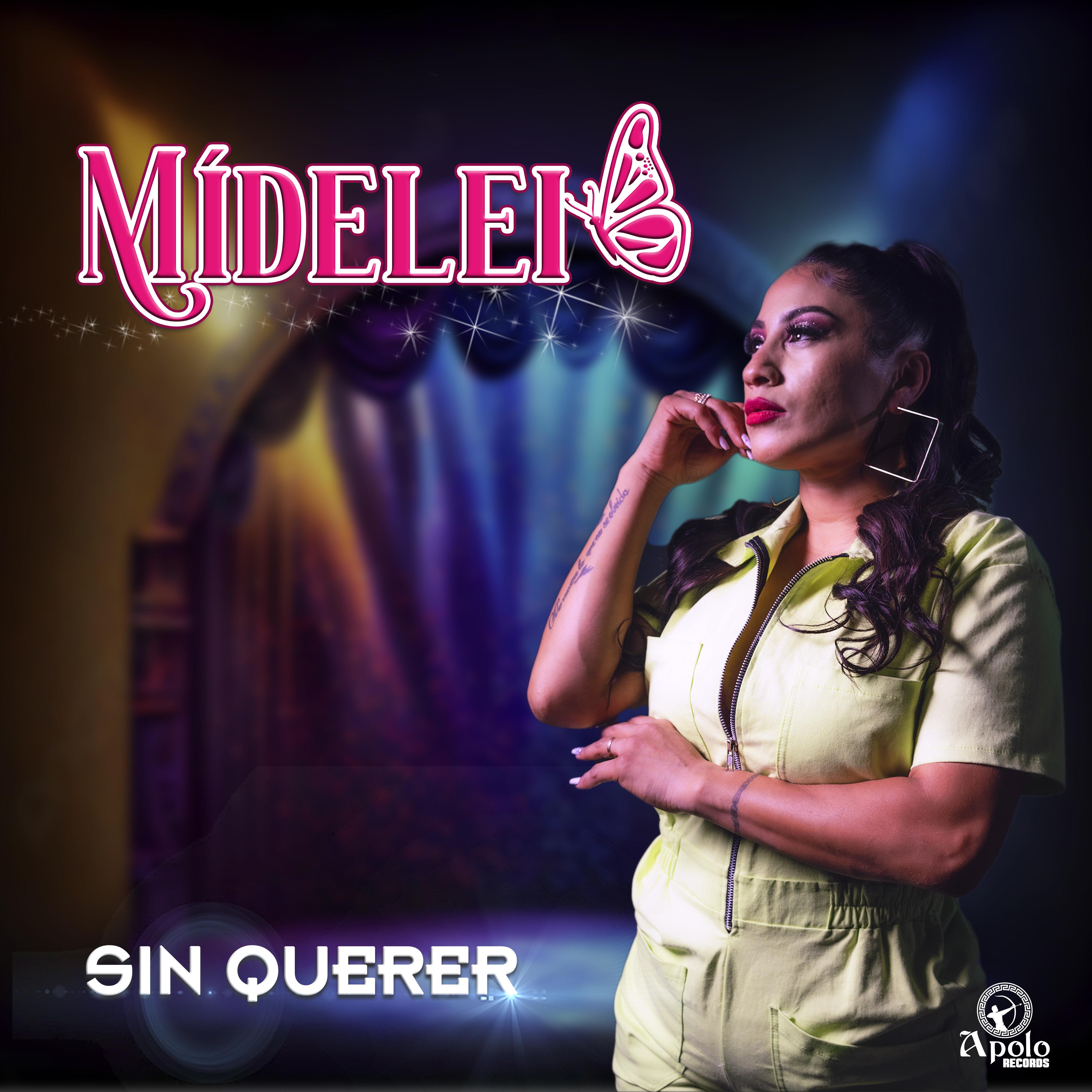 Постер альбома Sin Querer