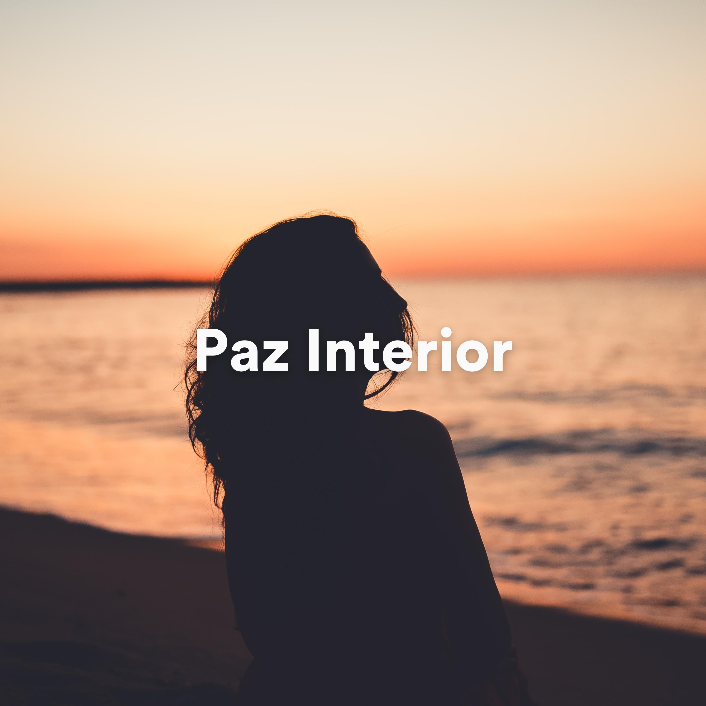 Постер альбома Paz Interior