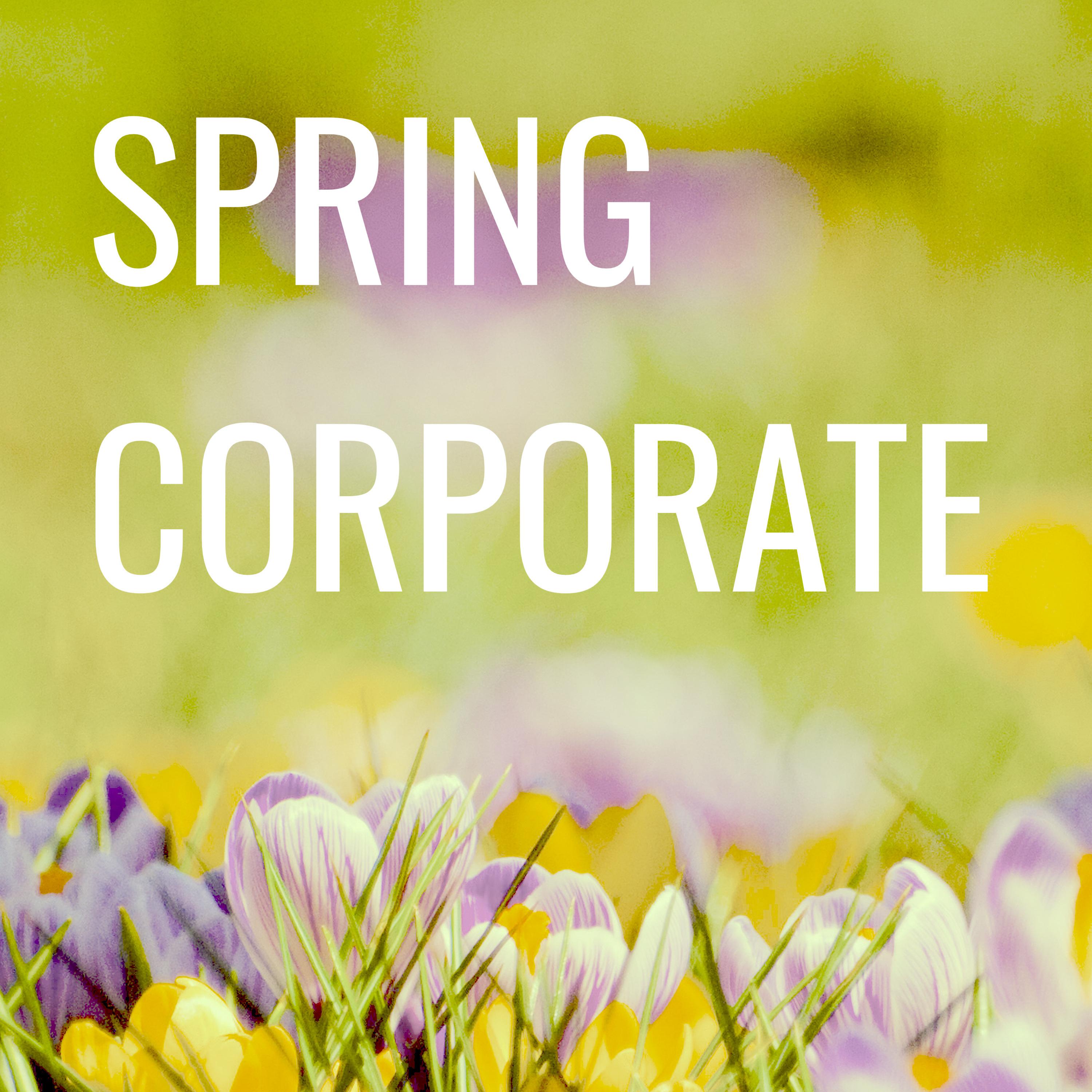 Постер альбома Spring Corporate