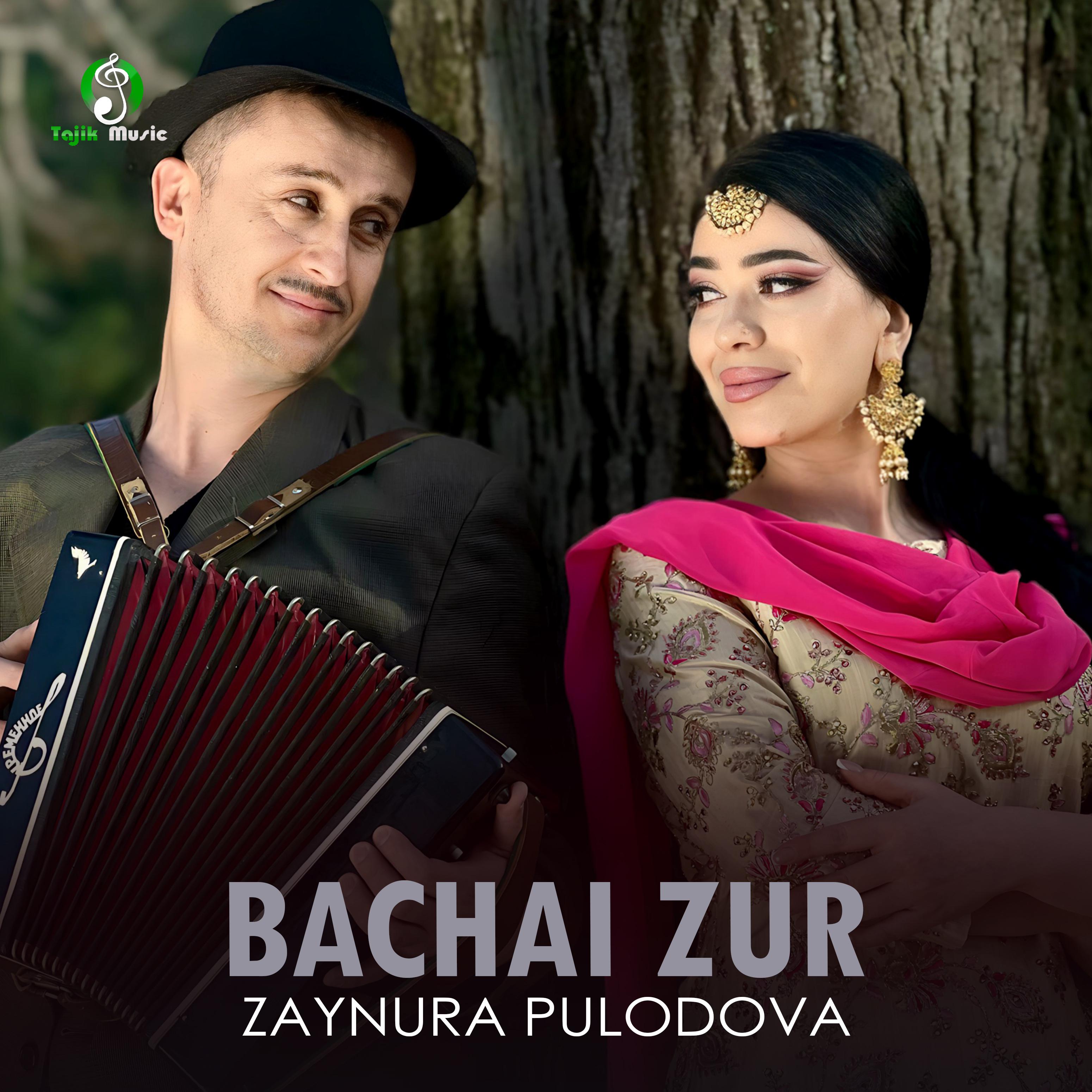 Постер альбома Bachai Zur