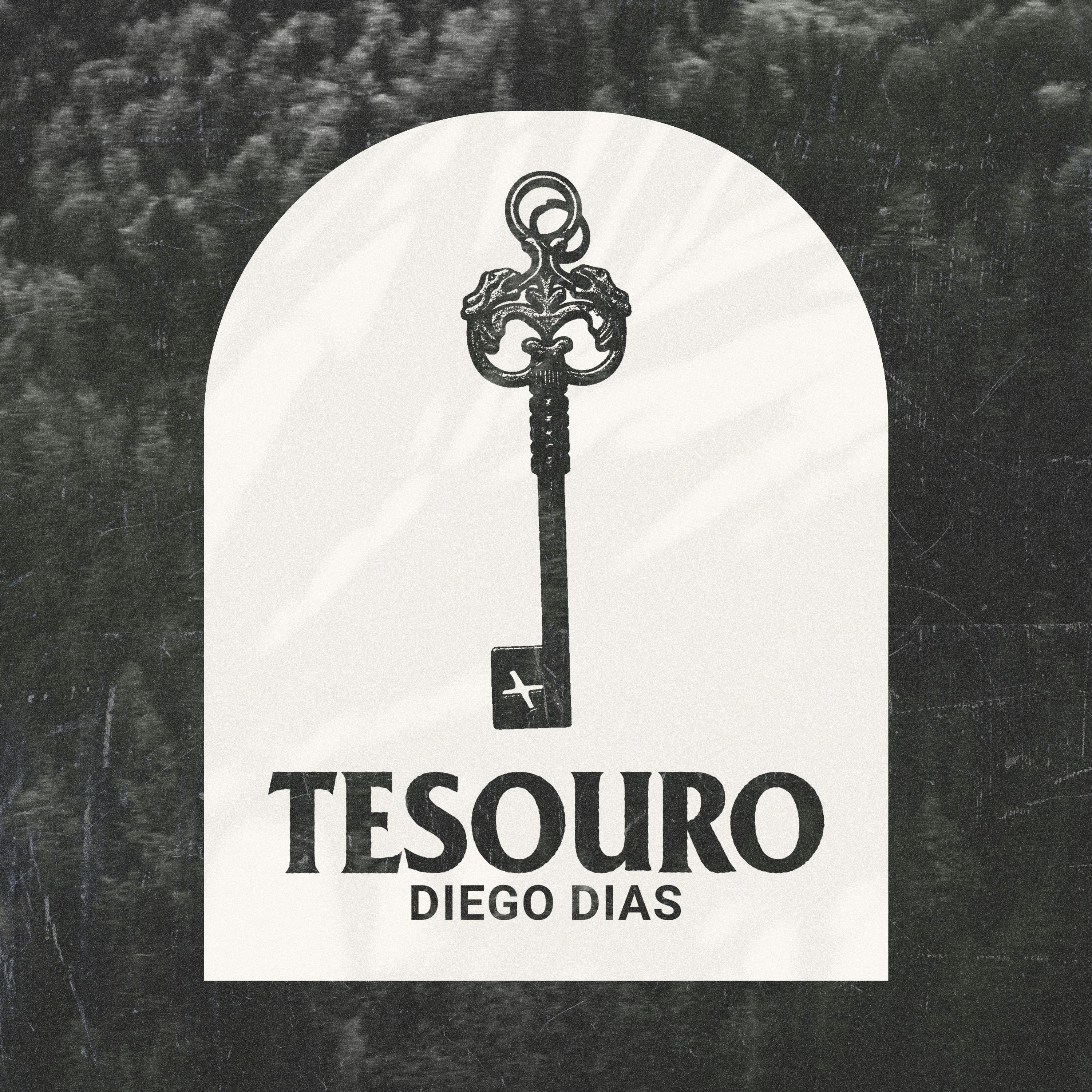 Постер альбома Tesouro (Eu Encontrei a Pérola)