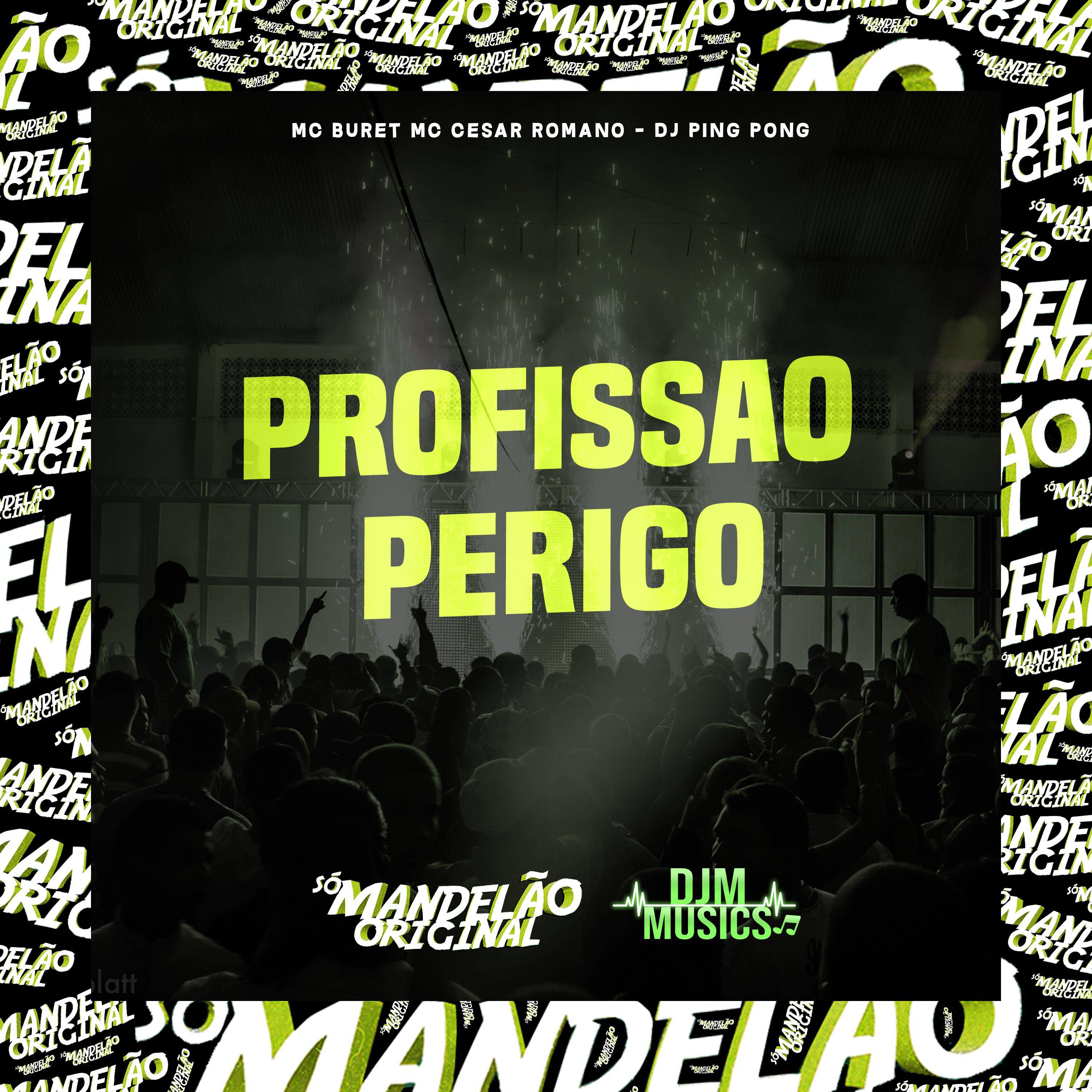 Постер альбома Profissao Perigo