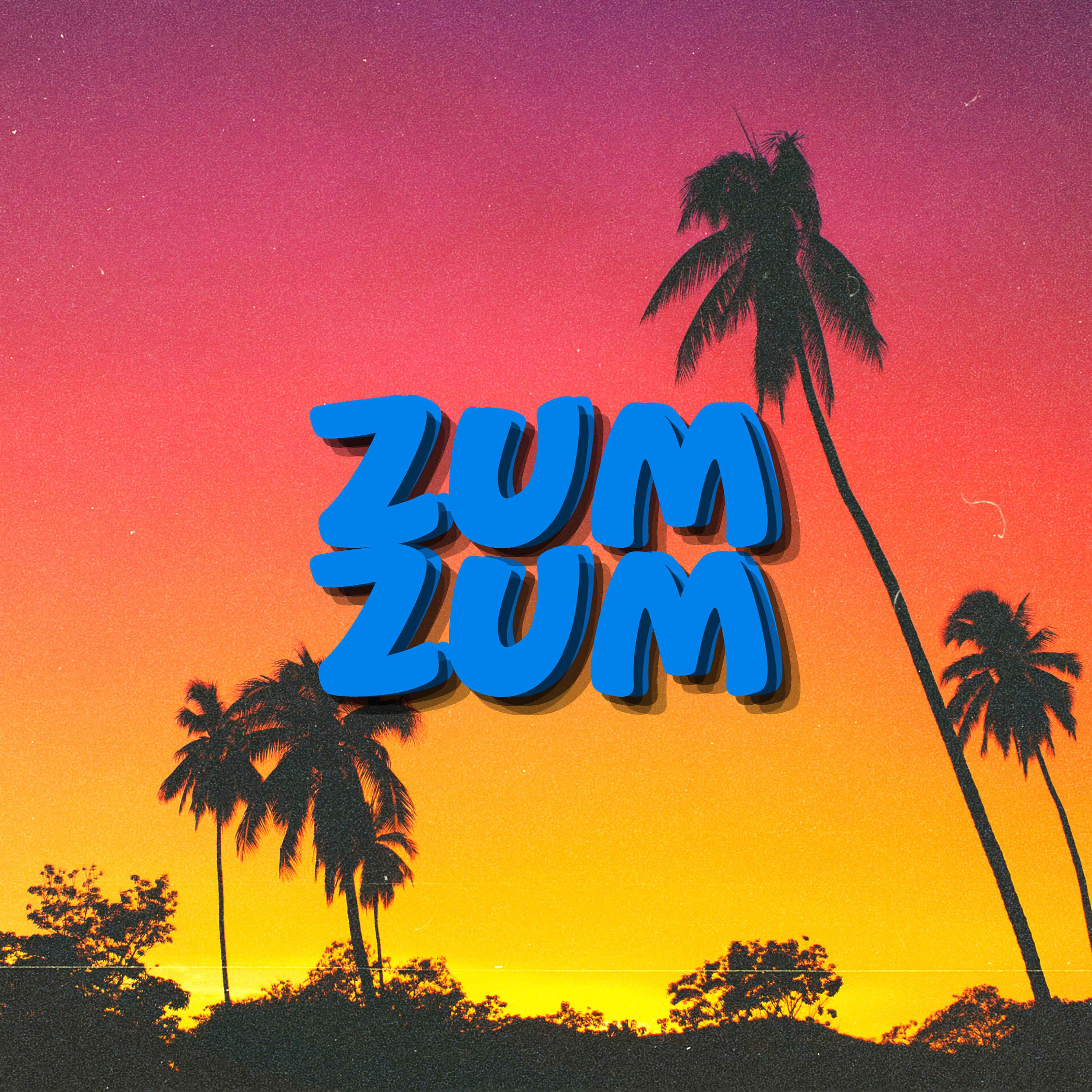 Постер альбома ZUM ZUM
