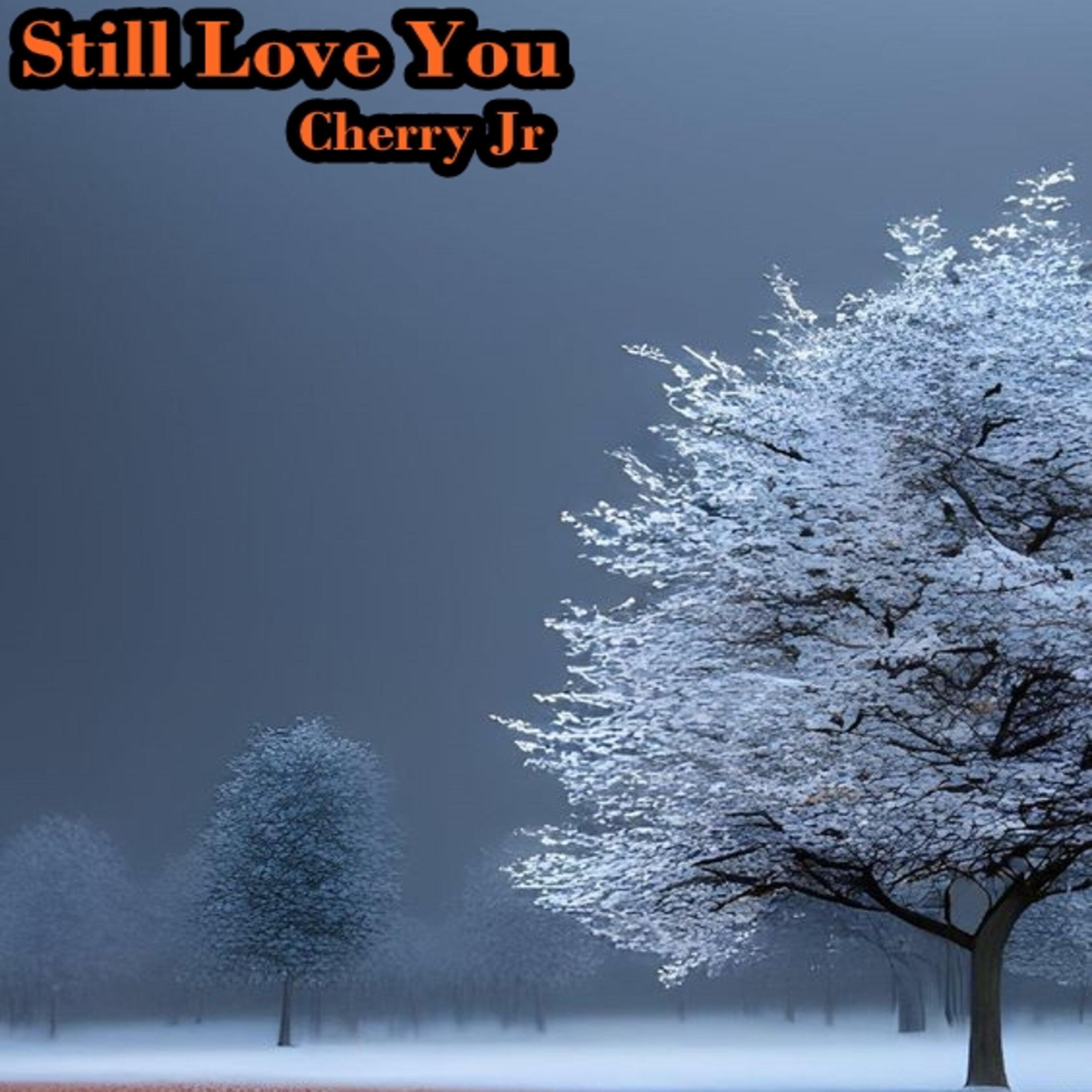 Постер альбома Still Love You