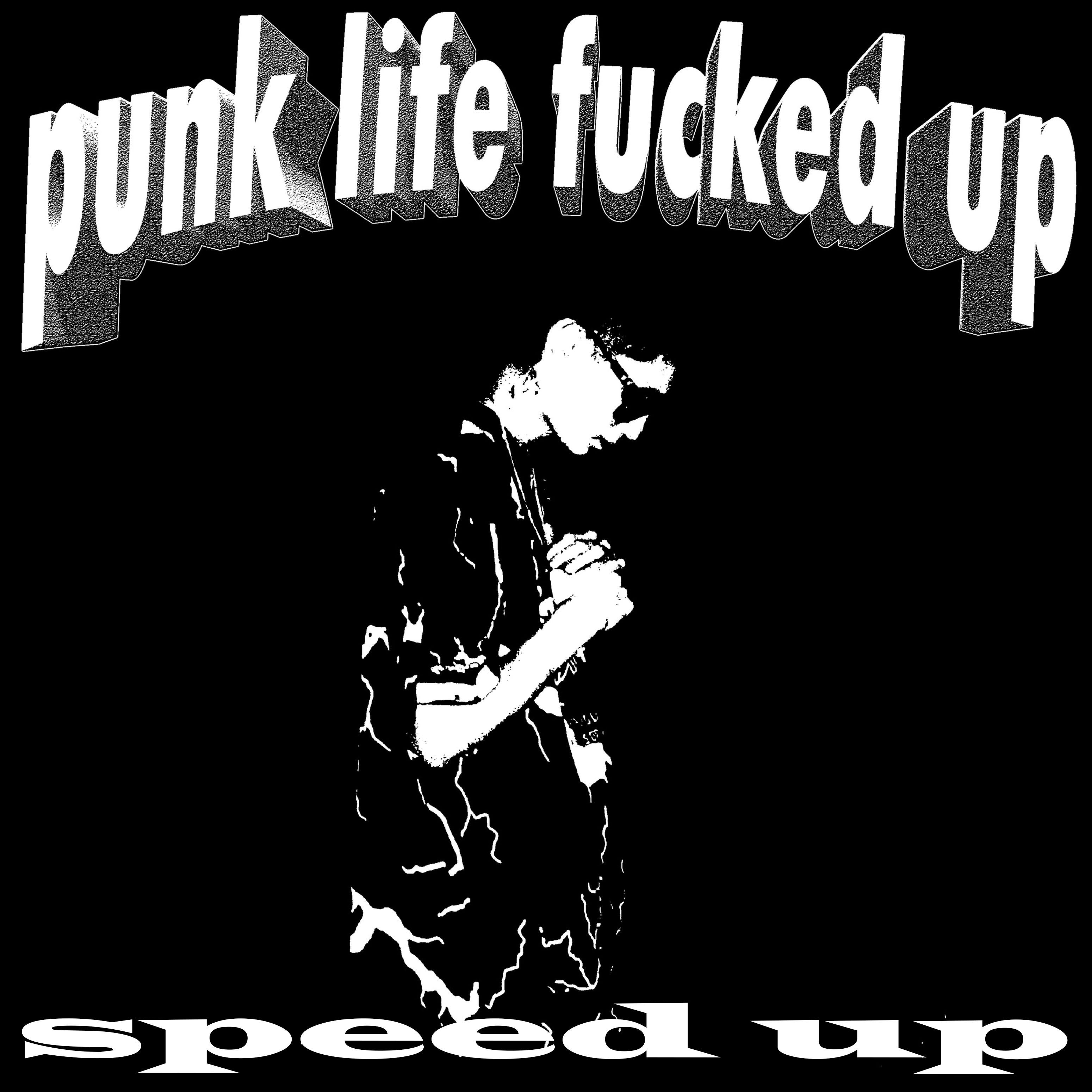 Постер альбома PUNK LIFE FUCKED UP (SPEED UP)