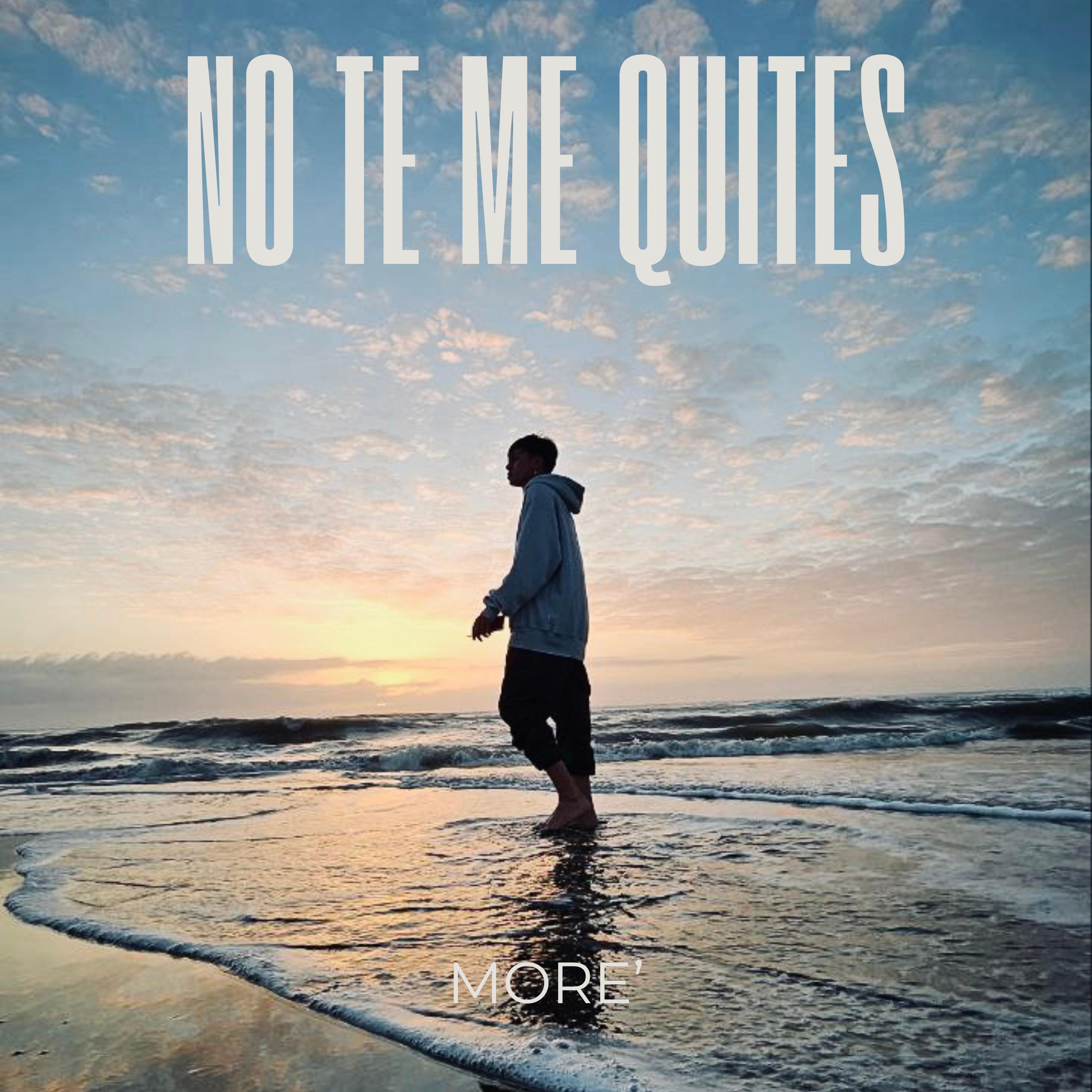 Постер альбома No Te Me Quites