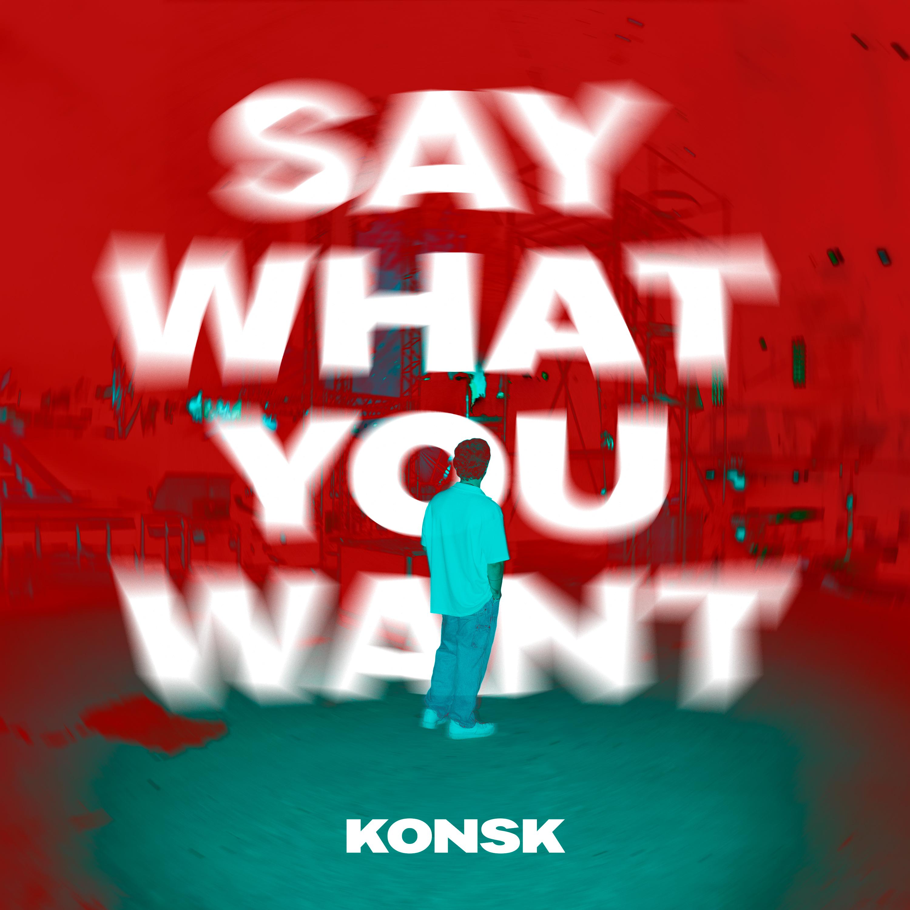 Постер альбома SAY WHAT YOU WANT