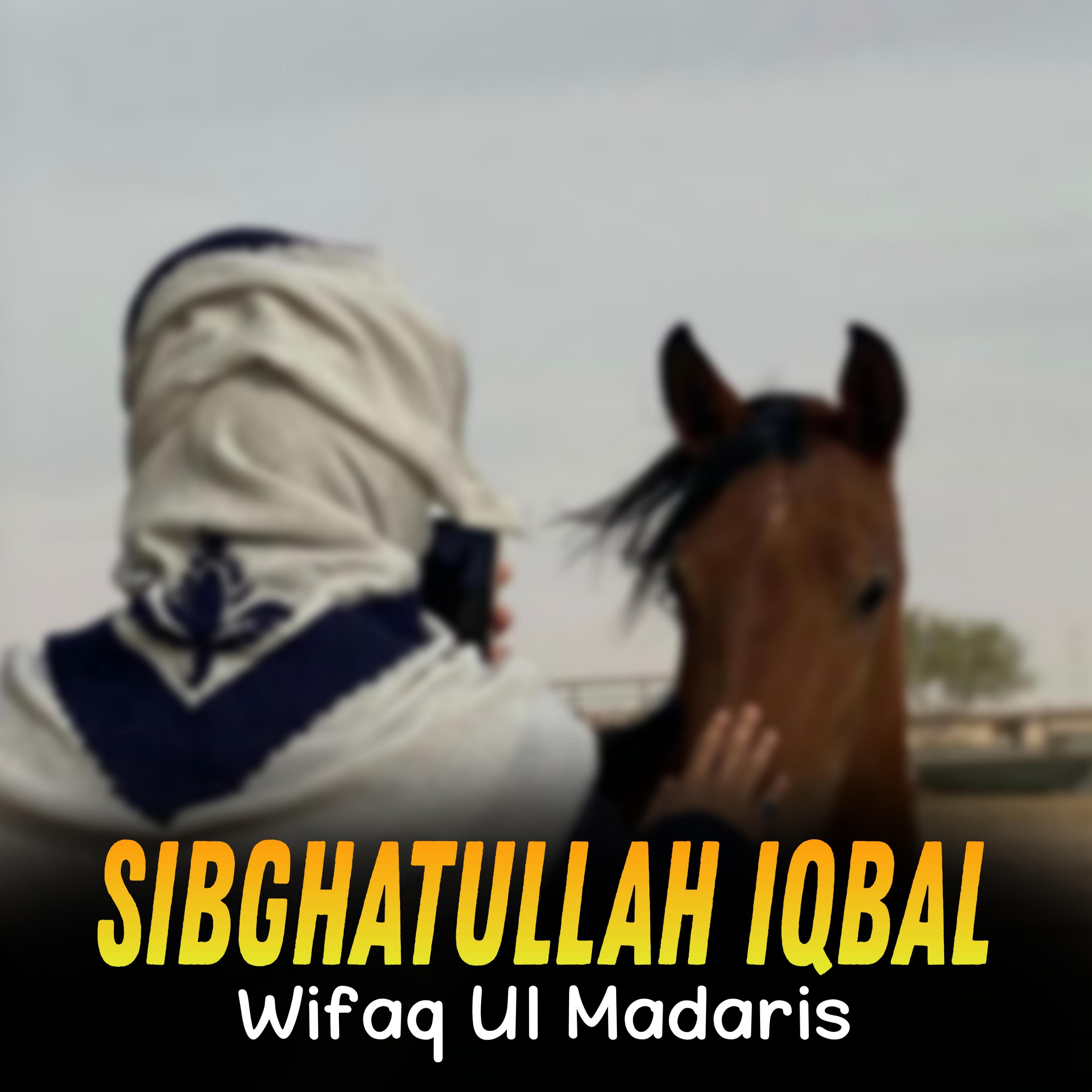 Постер альбома Wifaq Ul Madaris