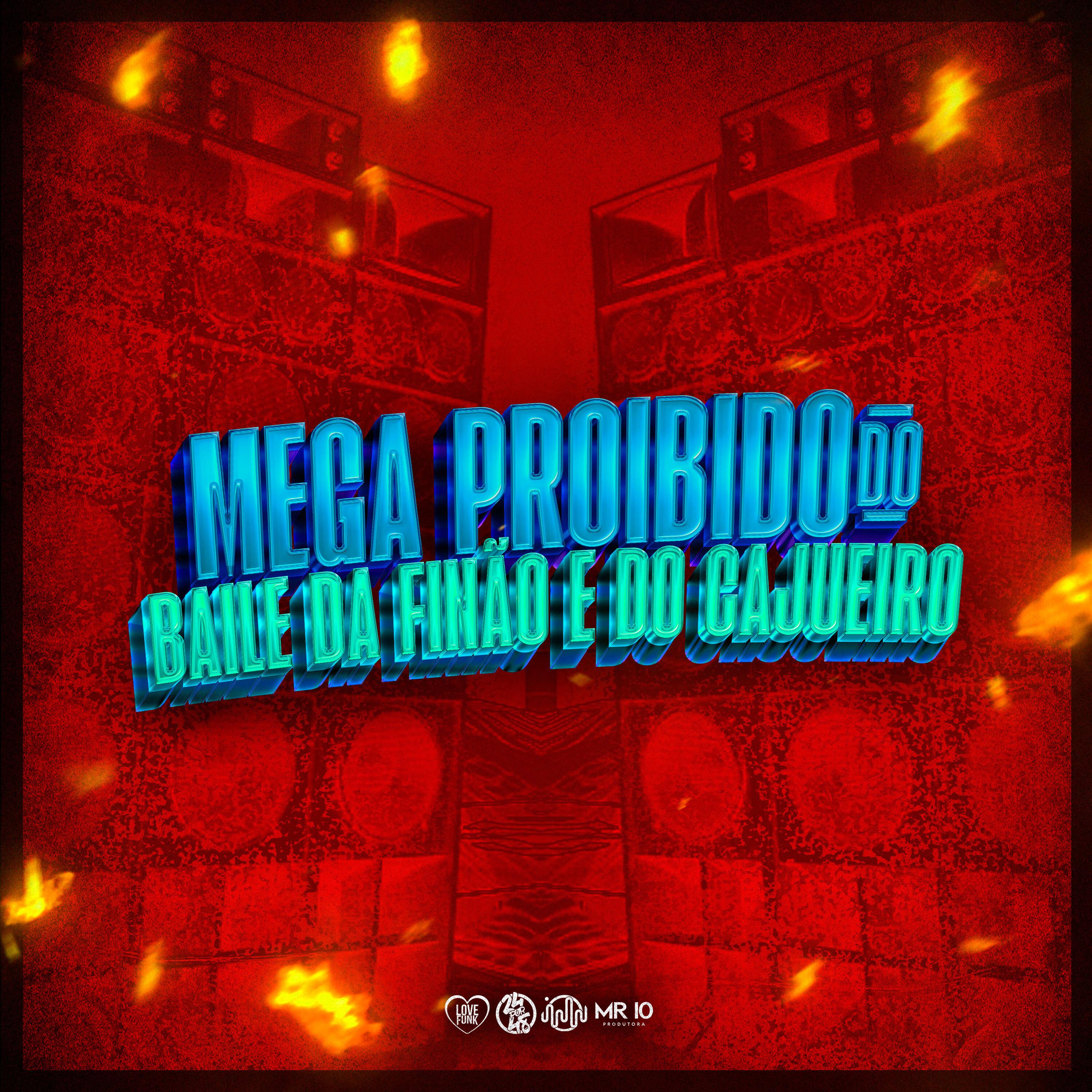 Постер альбома Mega Proibido do Baile da Finão e do Cajueiro