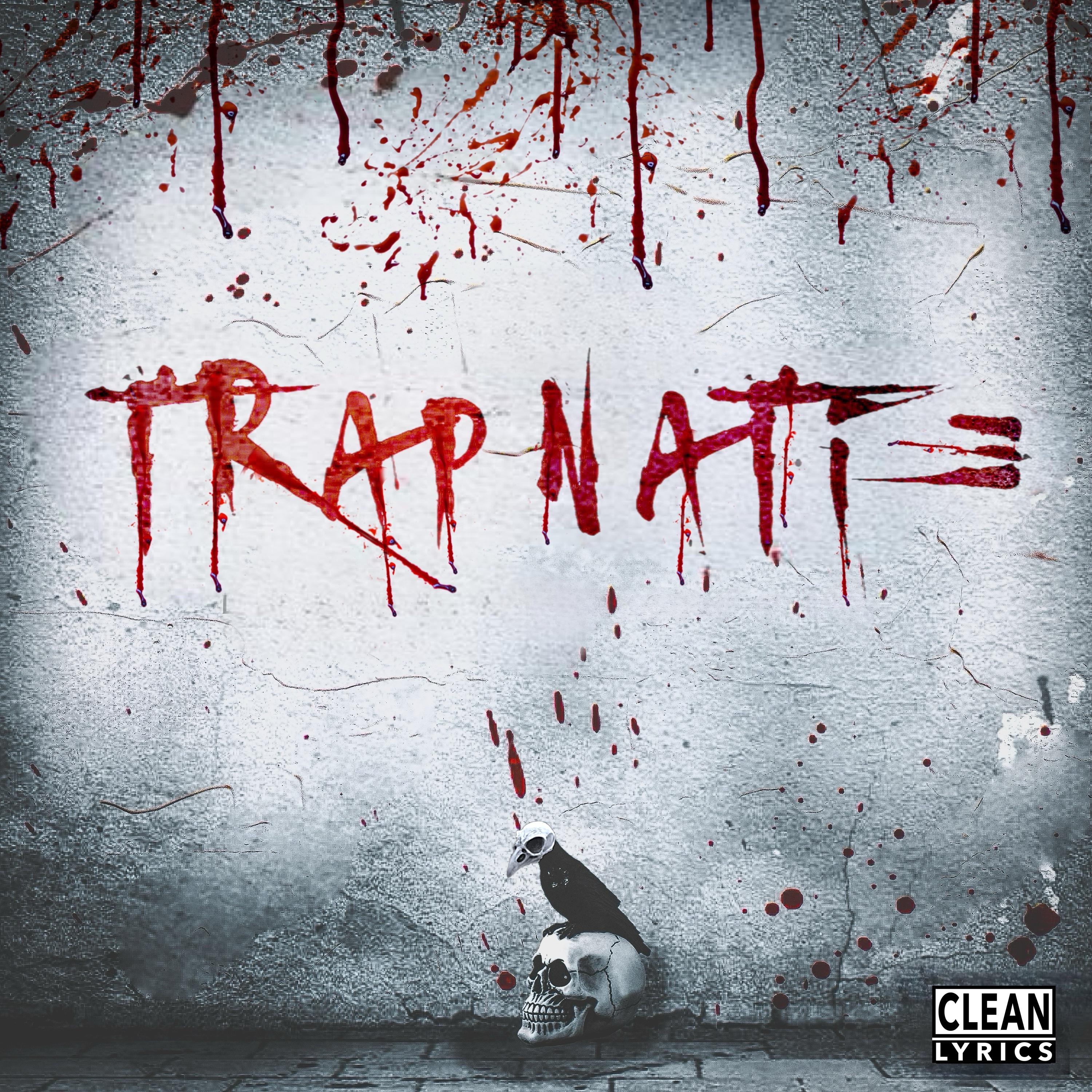Постер альбома Trapnati 3