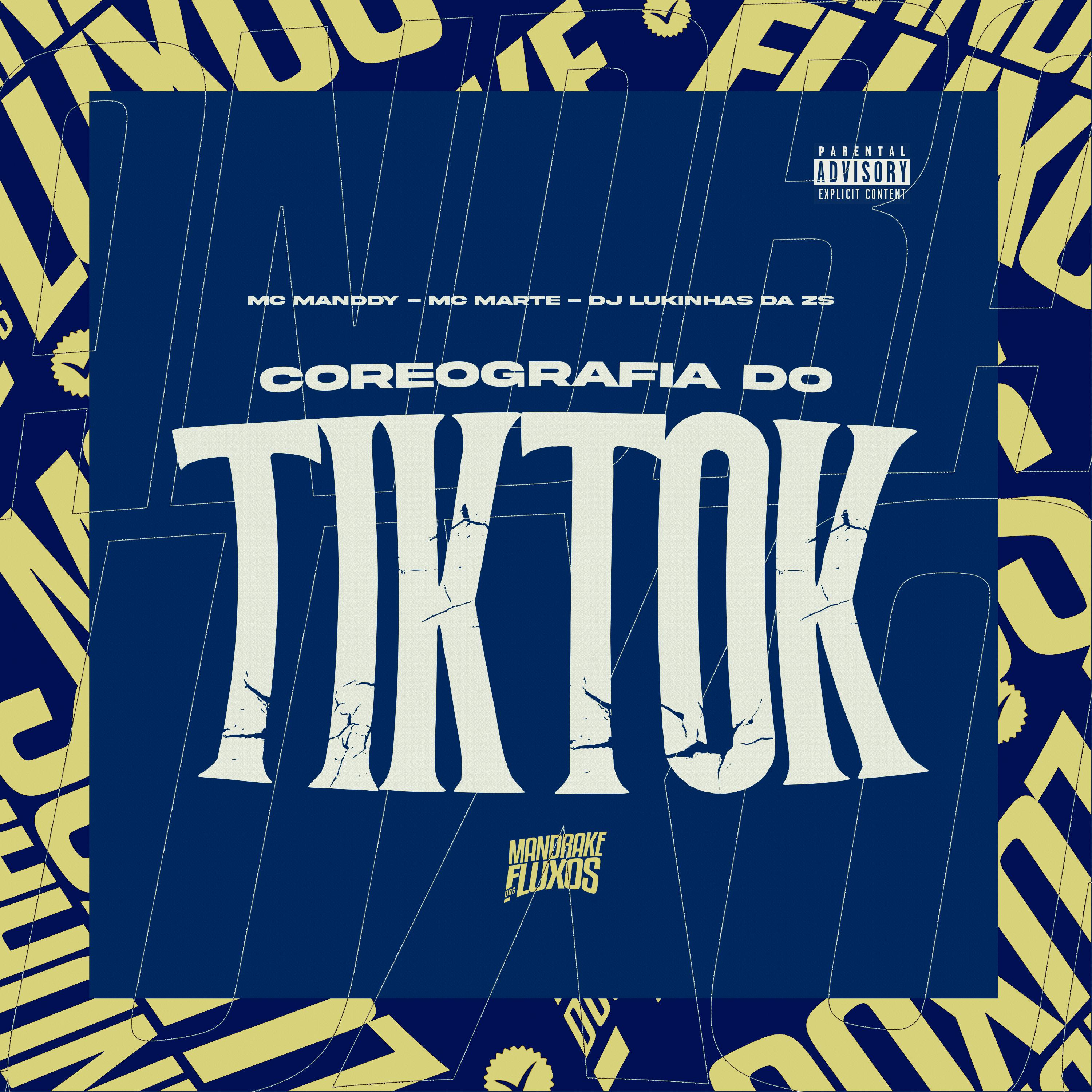 Постер альбома Coreografia do Tiktok
