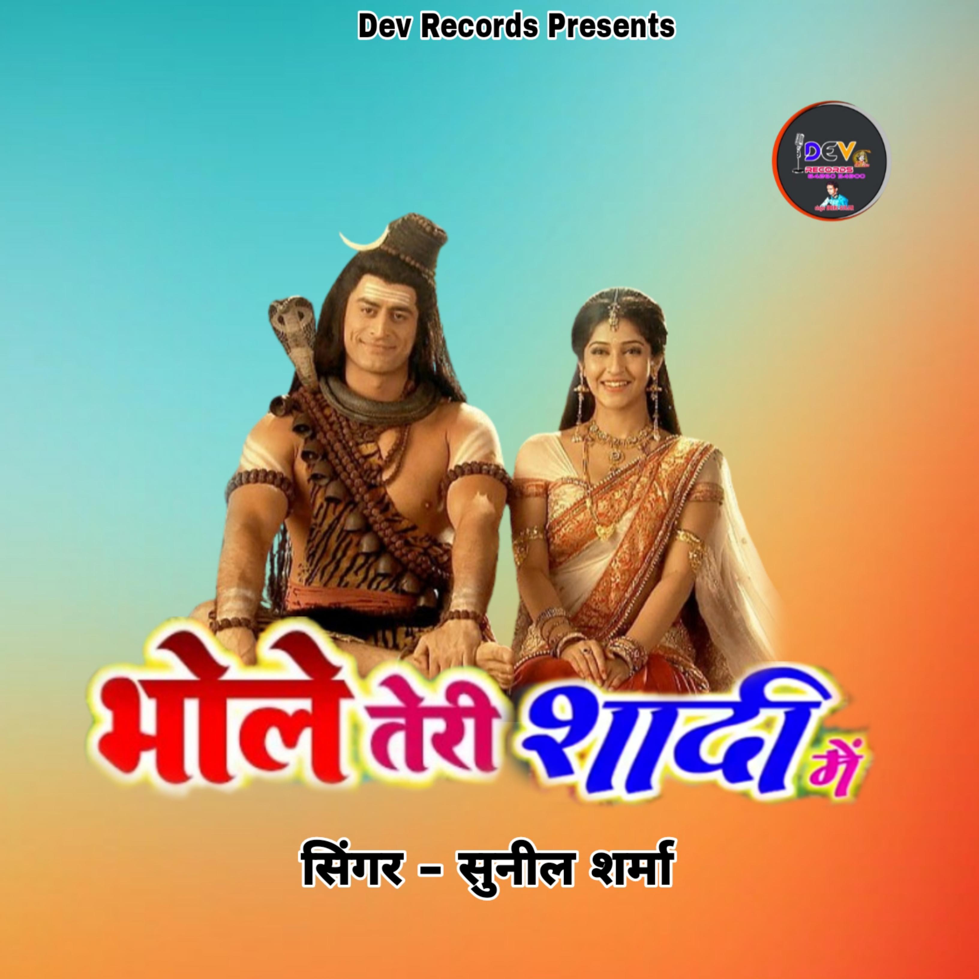 Постер альбома Bhole Teri Shadi Mein