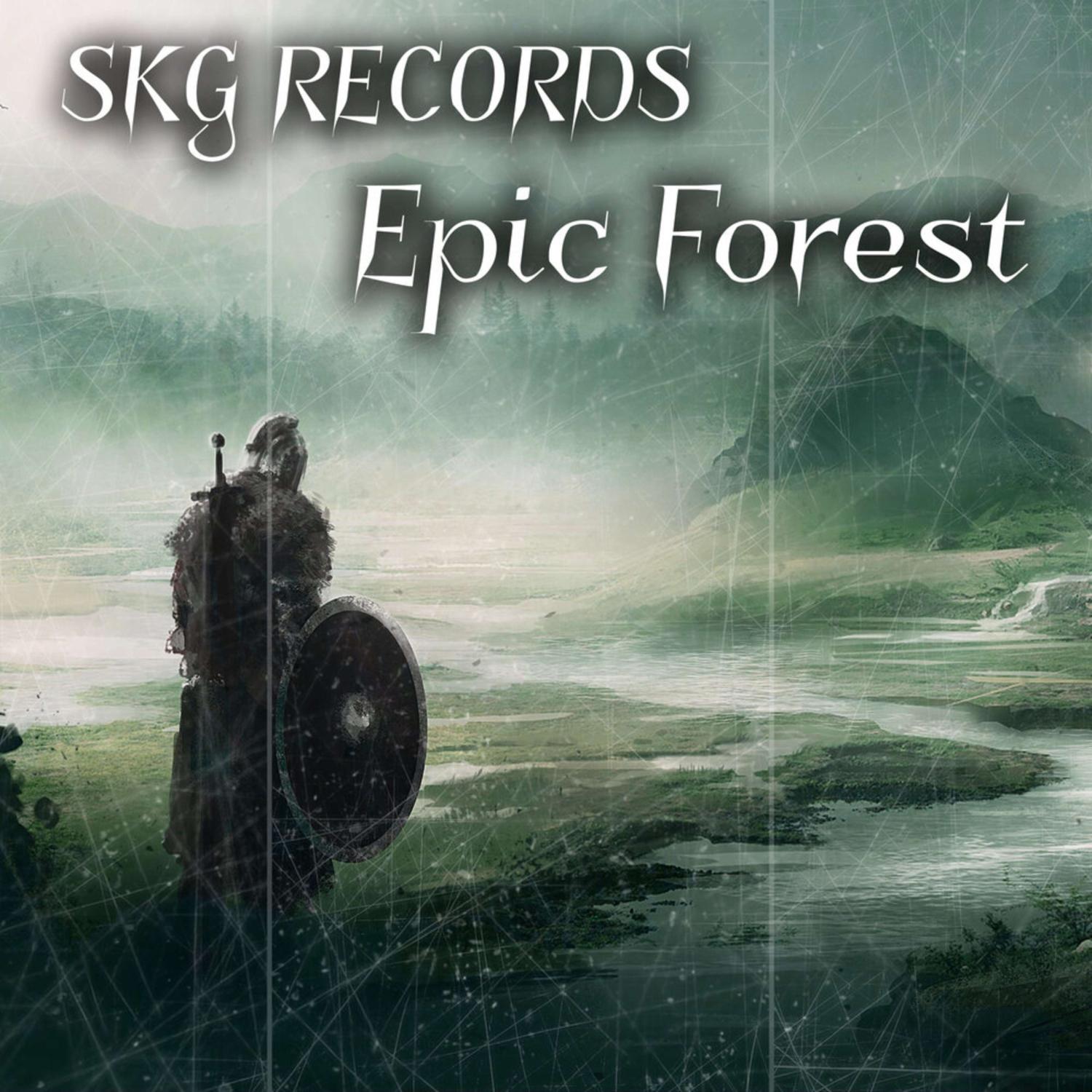Постер альбома Epic Forest