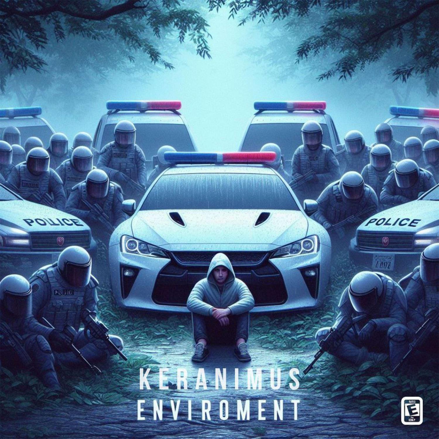 Постер альбома Environment