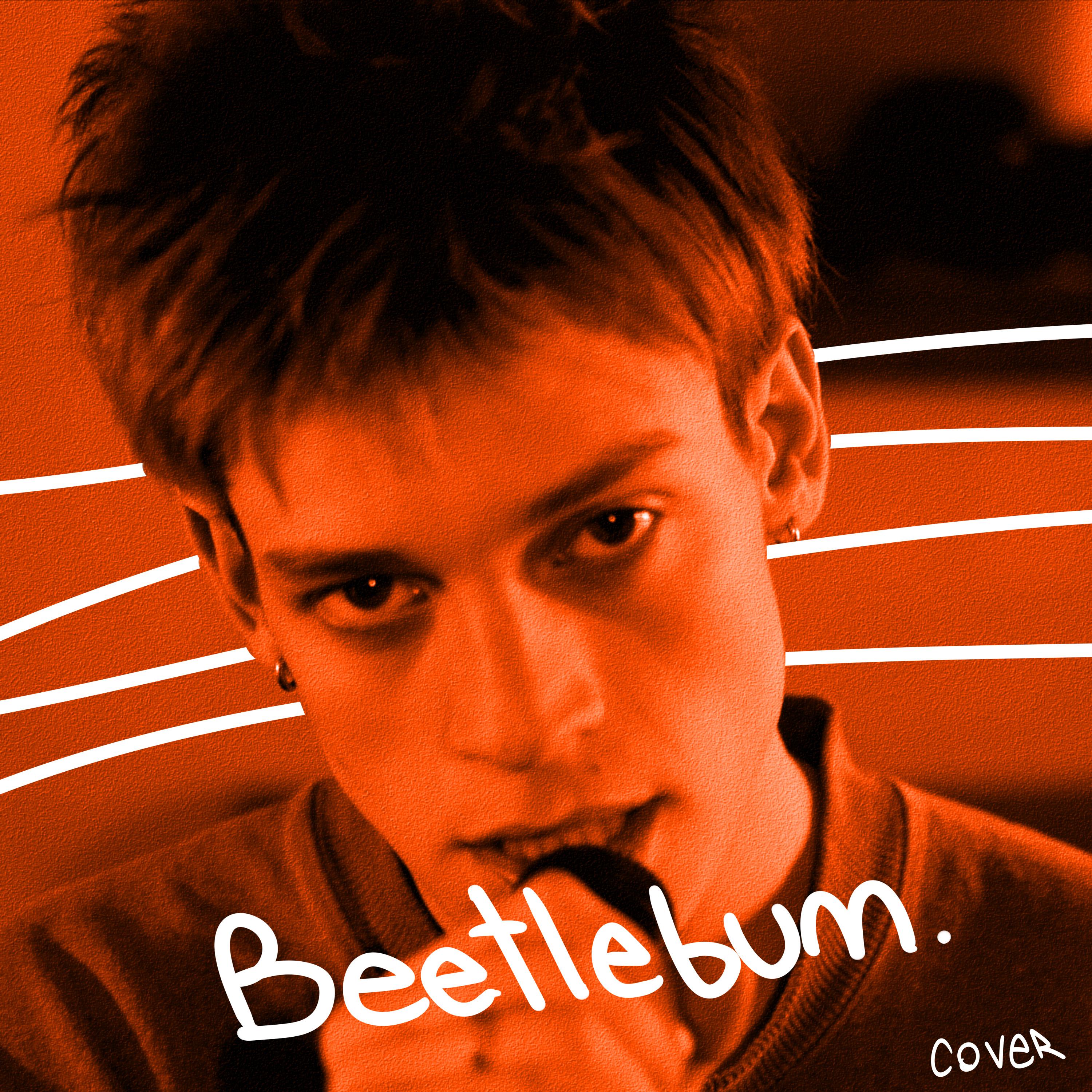 Постер альбома Beetlebum