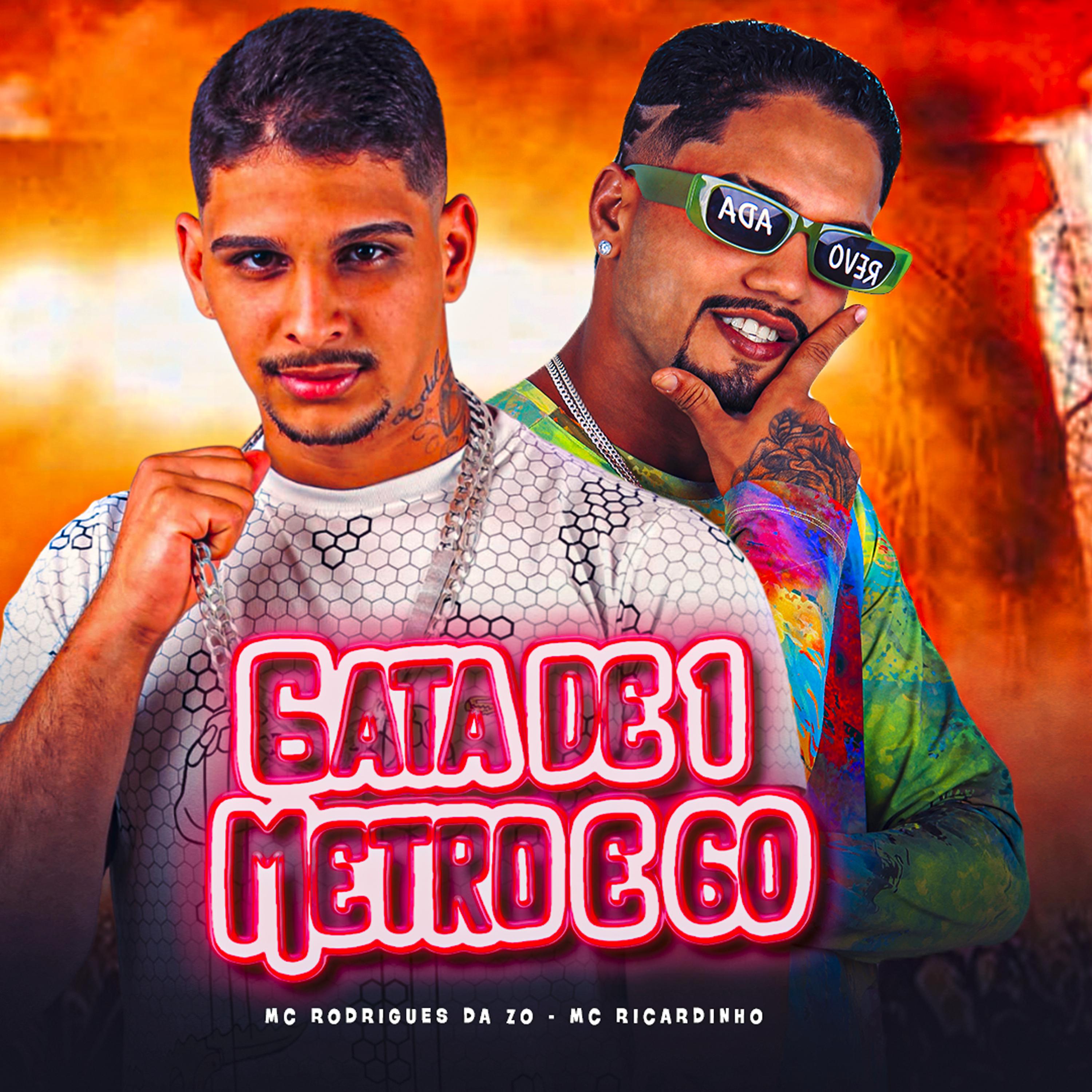 Постер альбома Gata de 1 Metro e 60