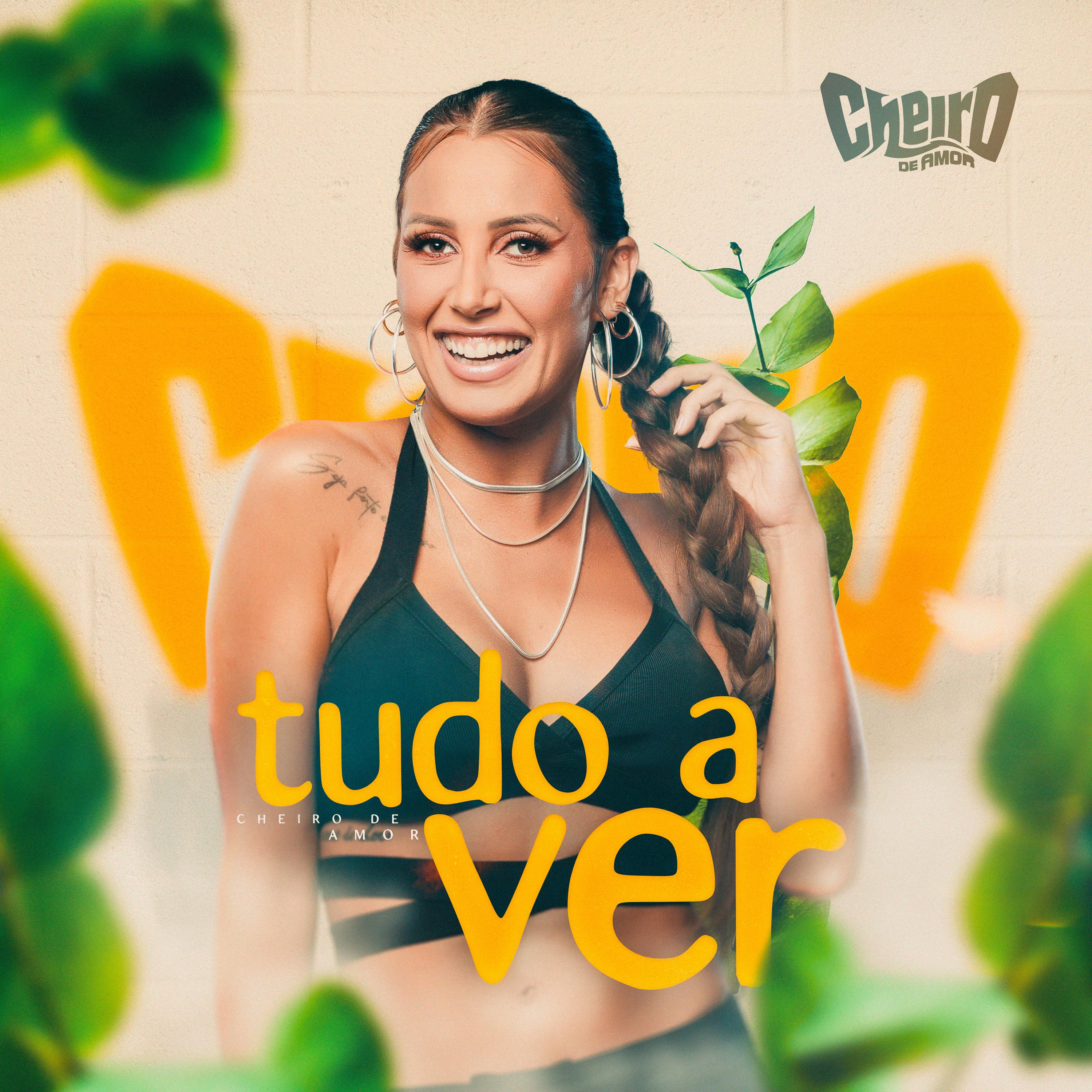 Постер альбома Tudo a Ver