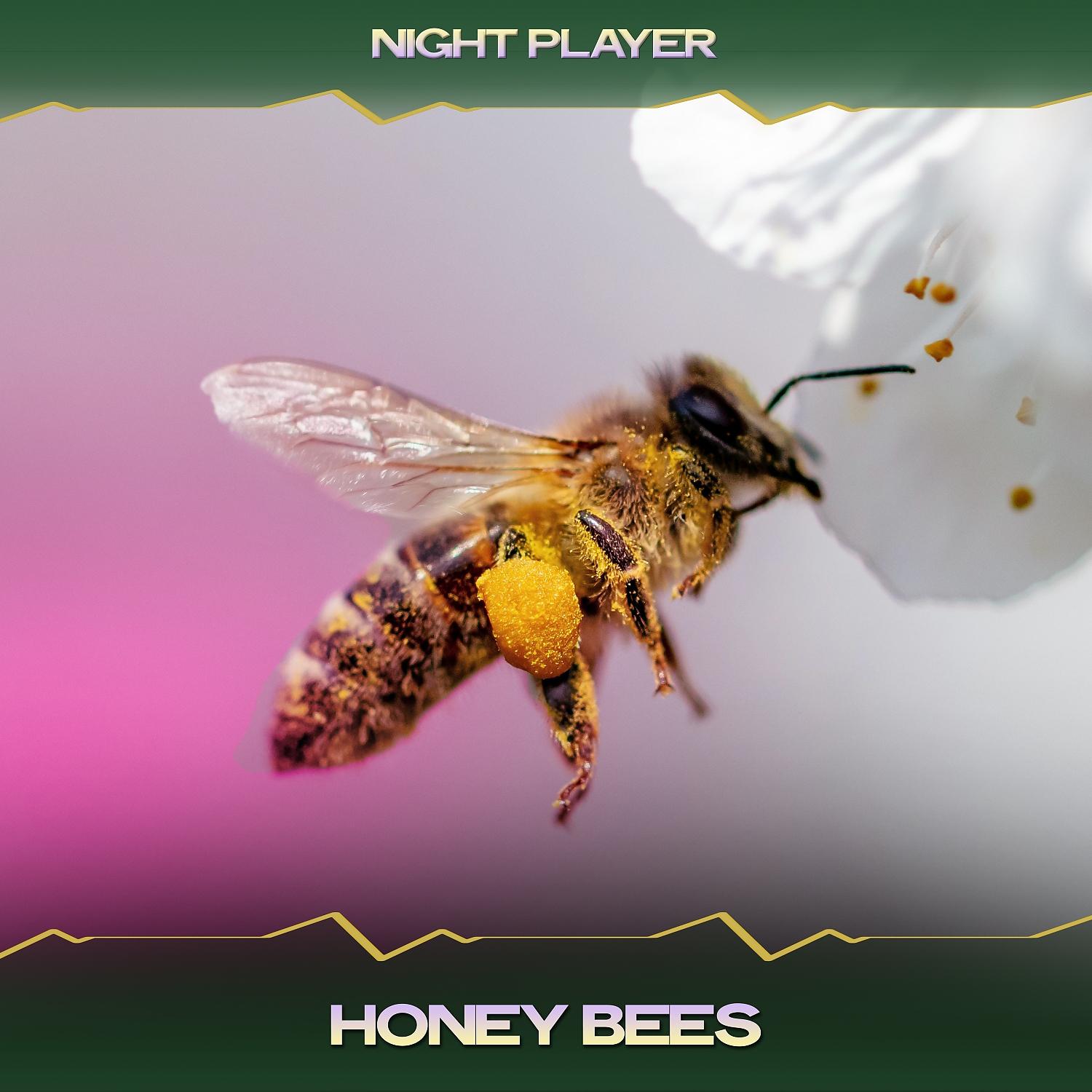 Honey play