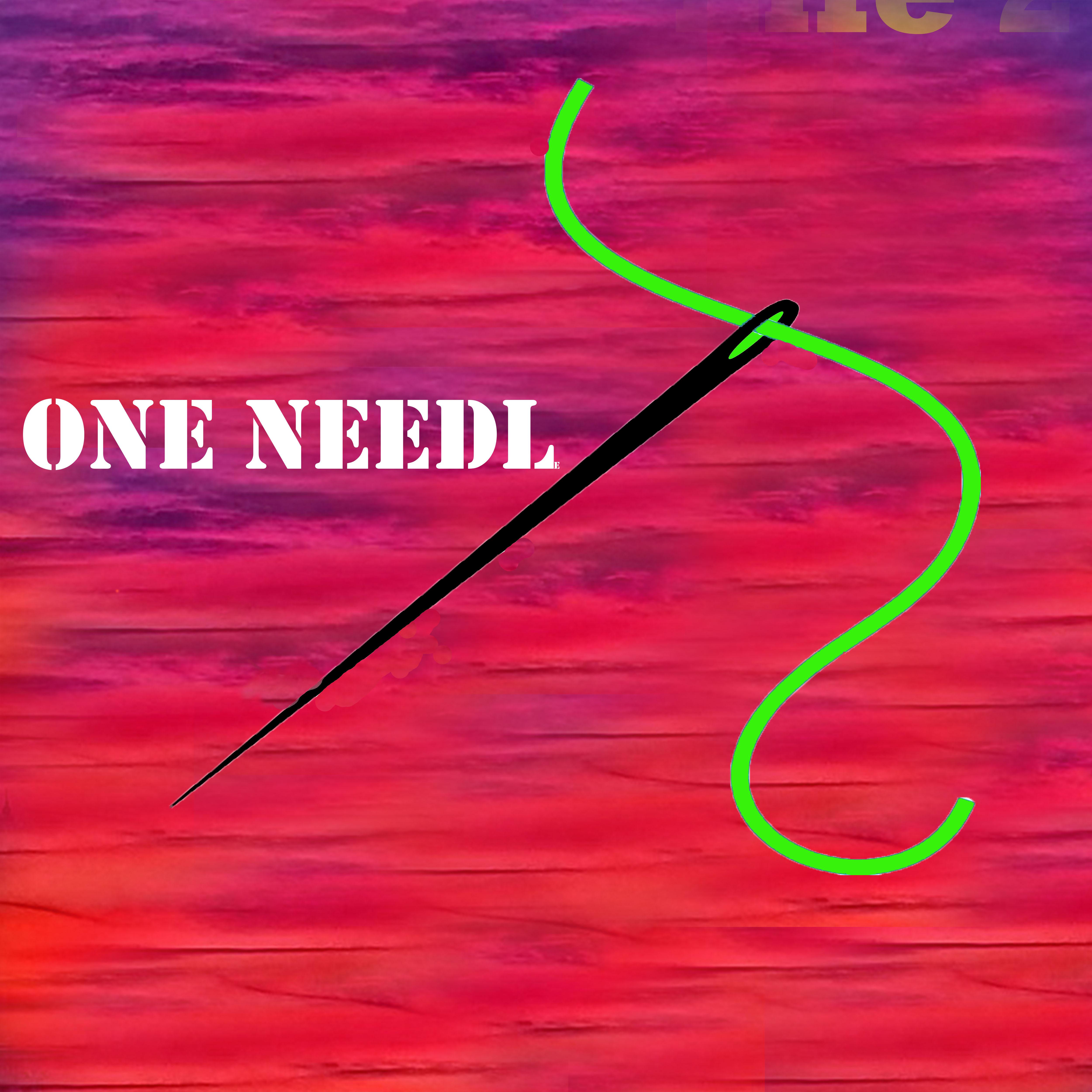 Постер альбома One Needle
